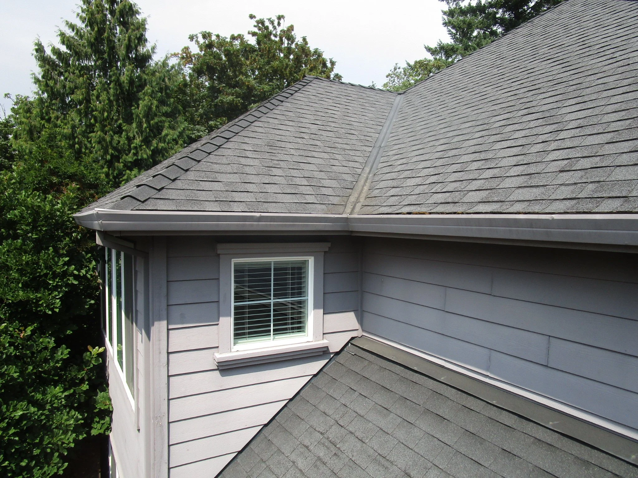 view of the roof and a side of a house with a window, surrounded by trees.