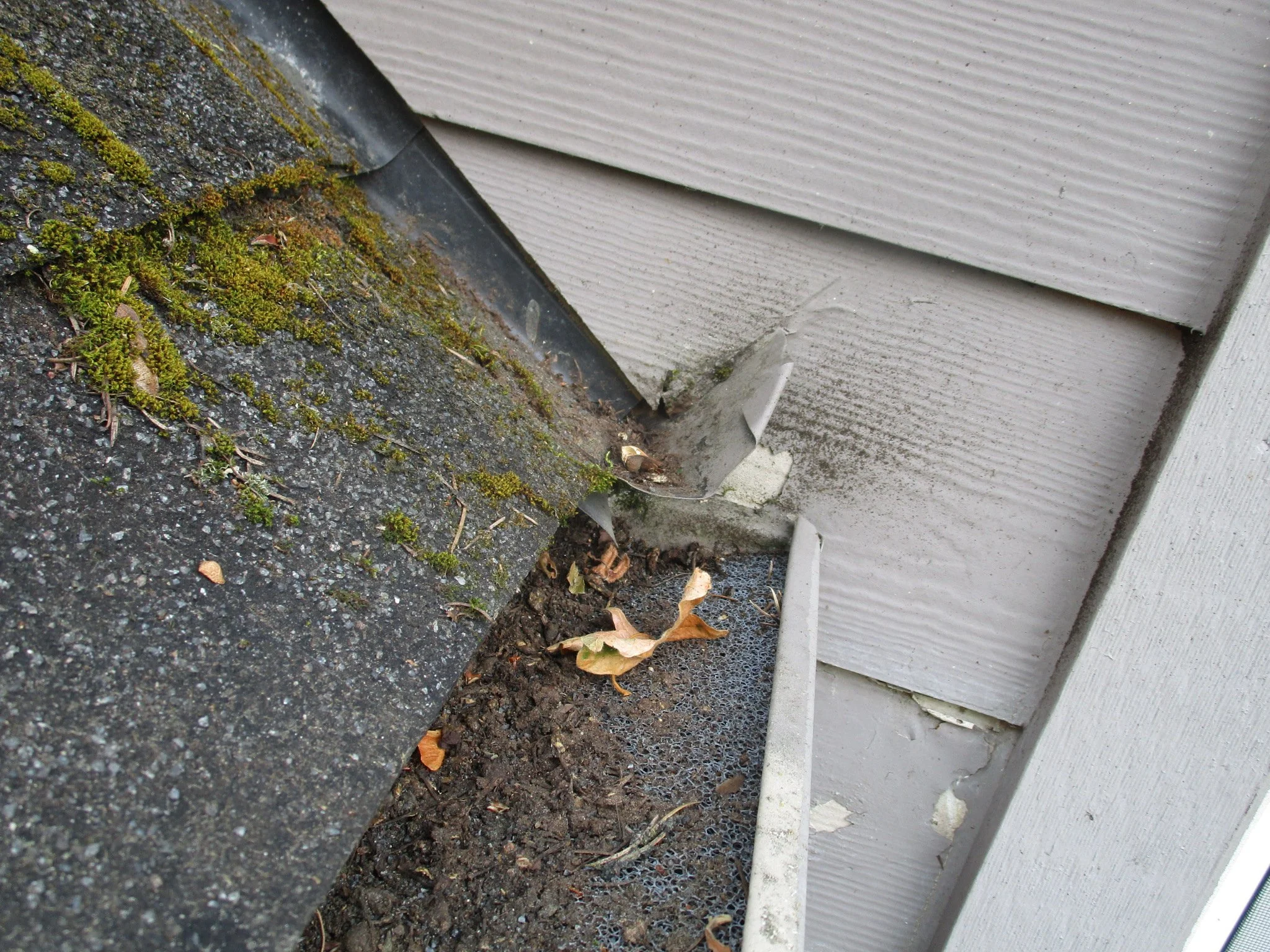 Moss and leaf debris on a roof edge near a house wall with siding.