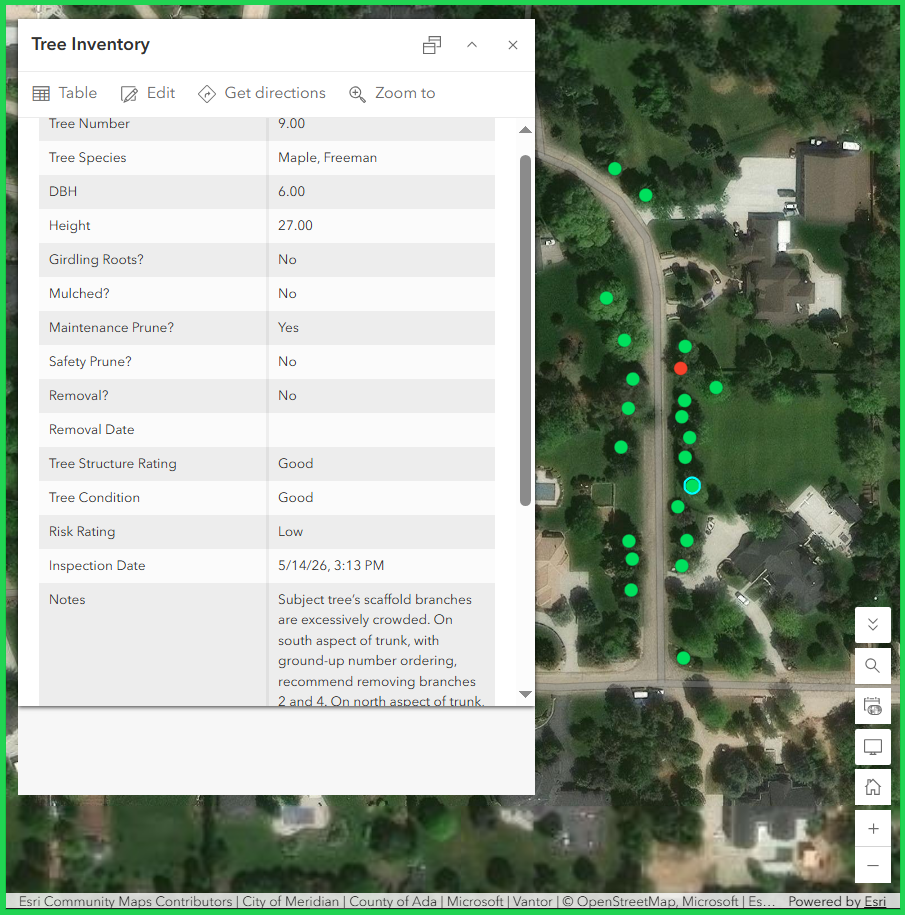 Example of GIS Map-Based Tree Inventory Data in Idaho. Numerous brightly-colored dots are distributed on an aerial-imagery map, indicating the locations of trees. A data table is displayed next to these dots, showcasing the functionality of this map.