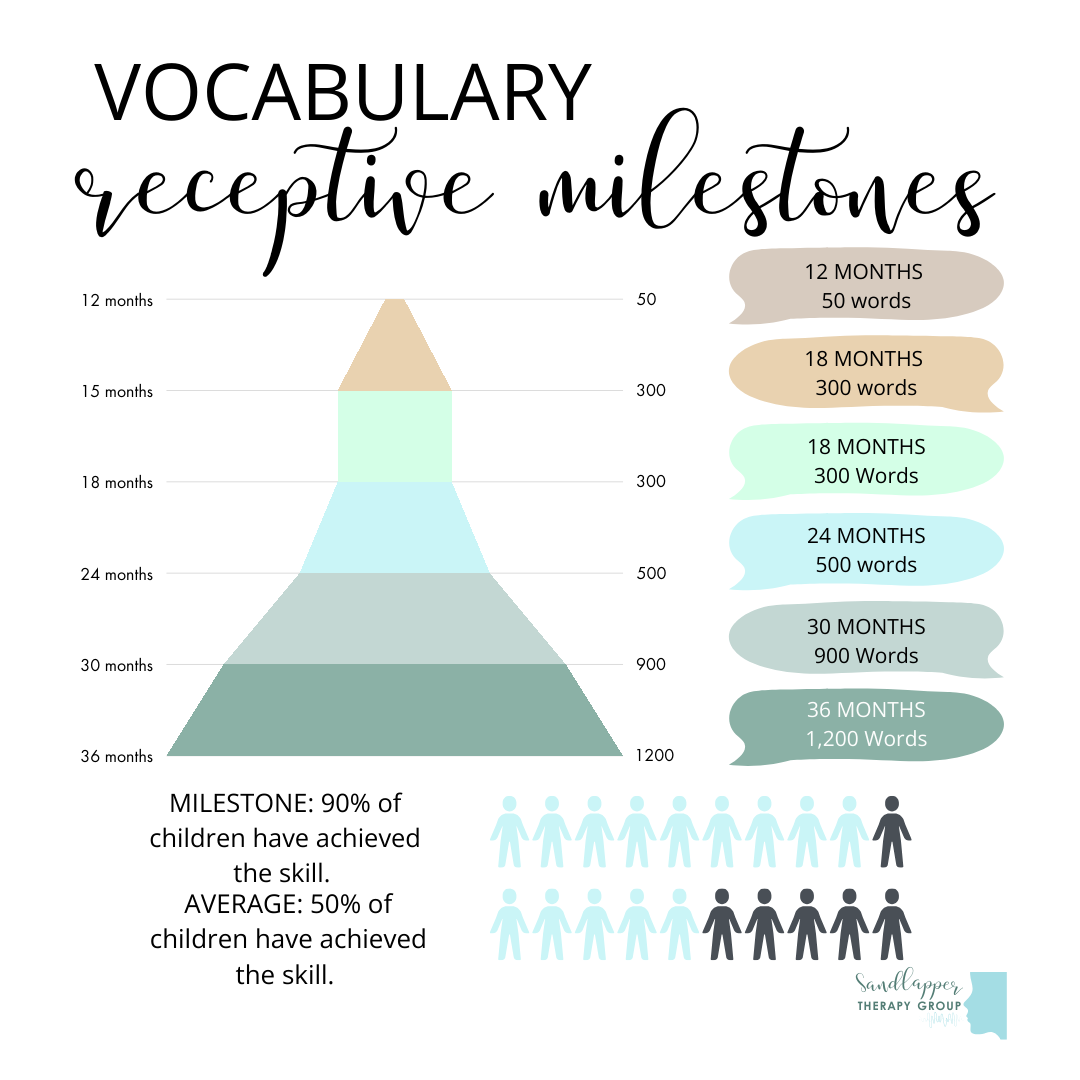 Receptive Vocabulary Milestones: What to Expect from 12–36 Months
