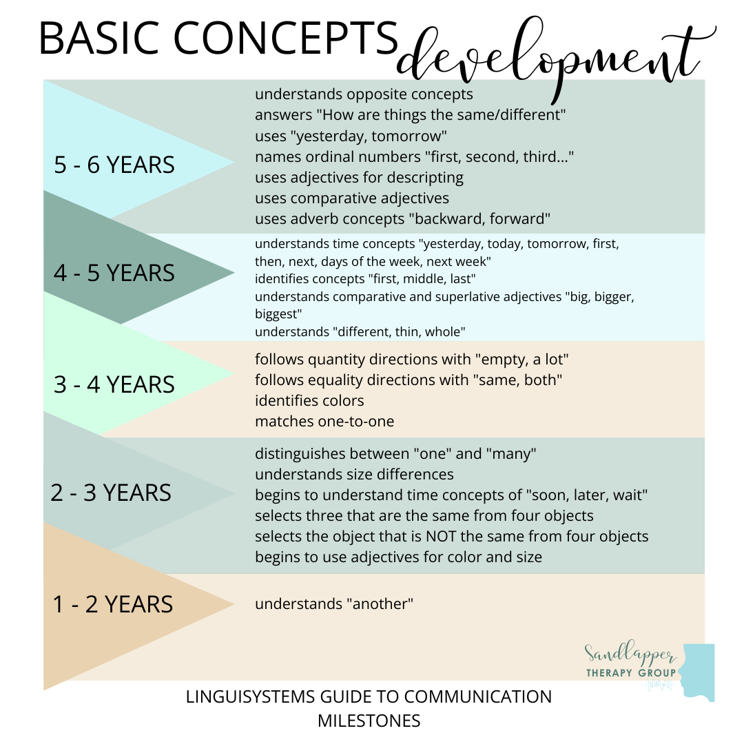 Basic Concepts Development: A Guide for Parents and Educators