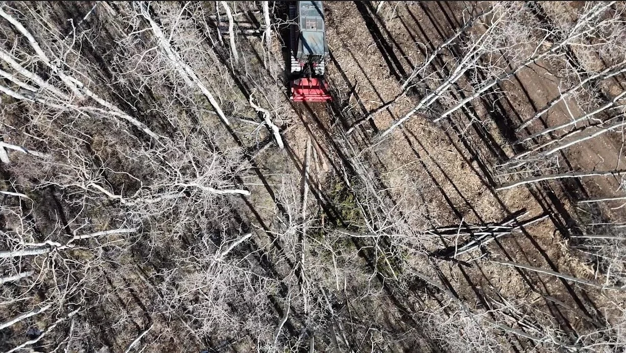 Wildfire Mitigation 101: Protecting Your Land with Outlaw Forestry with Mirr Ranch Group