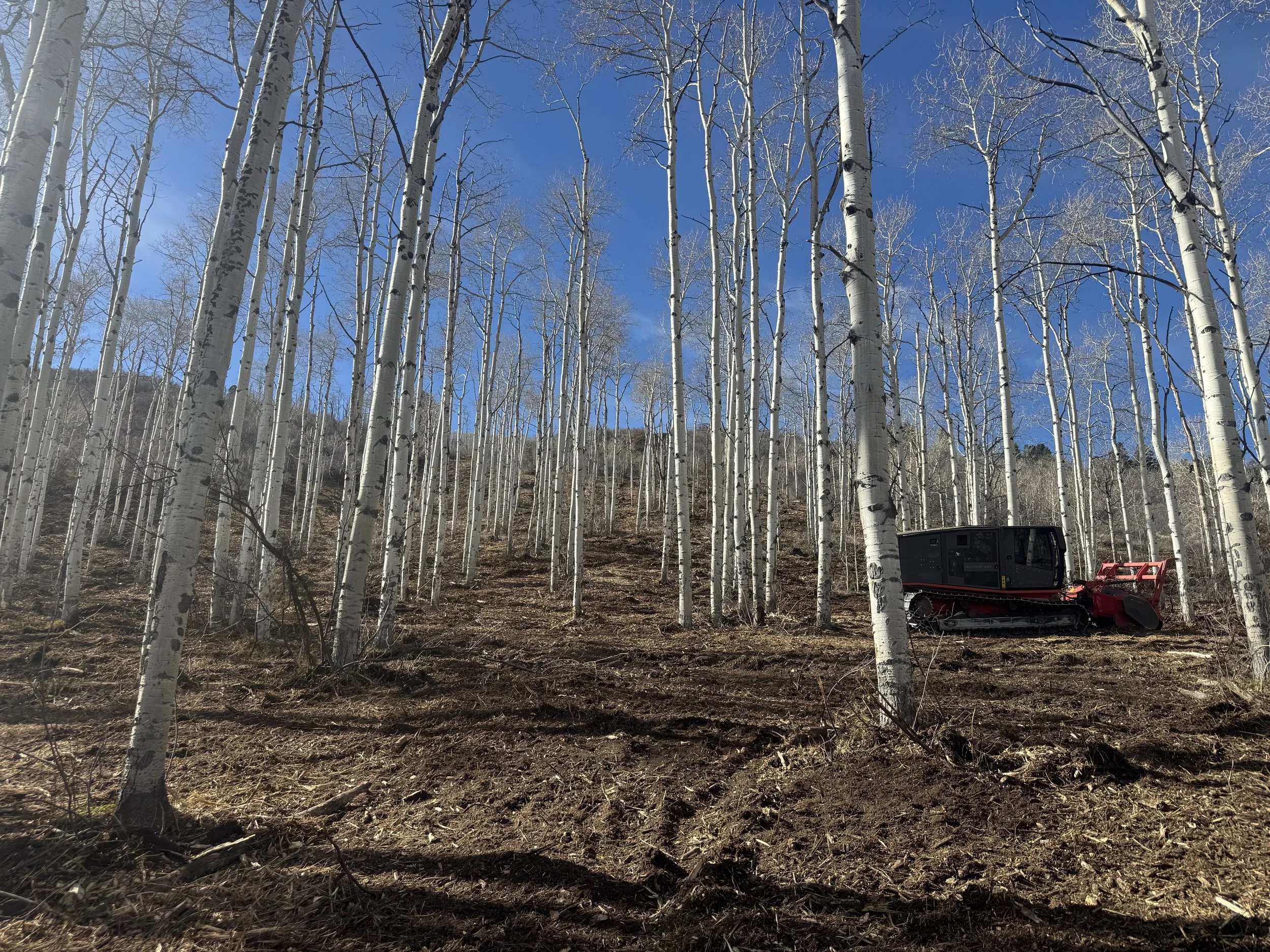 Colorado Wildfire Mitigation and Property Insurance: What Buyers and Owners Need to Know