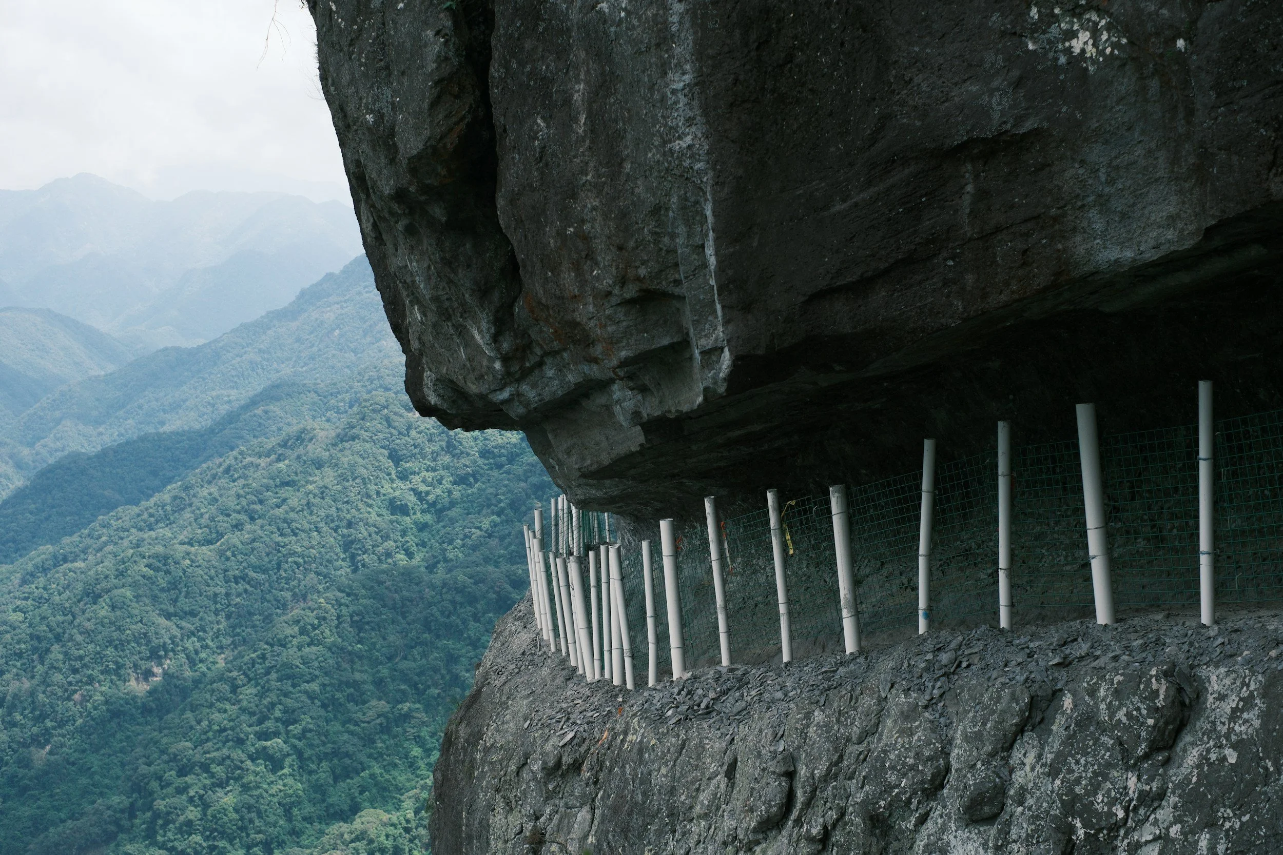 Banking on Nature Series | From Climate to Nature Risk Scenario Analysis