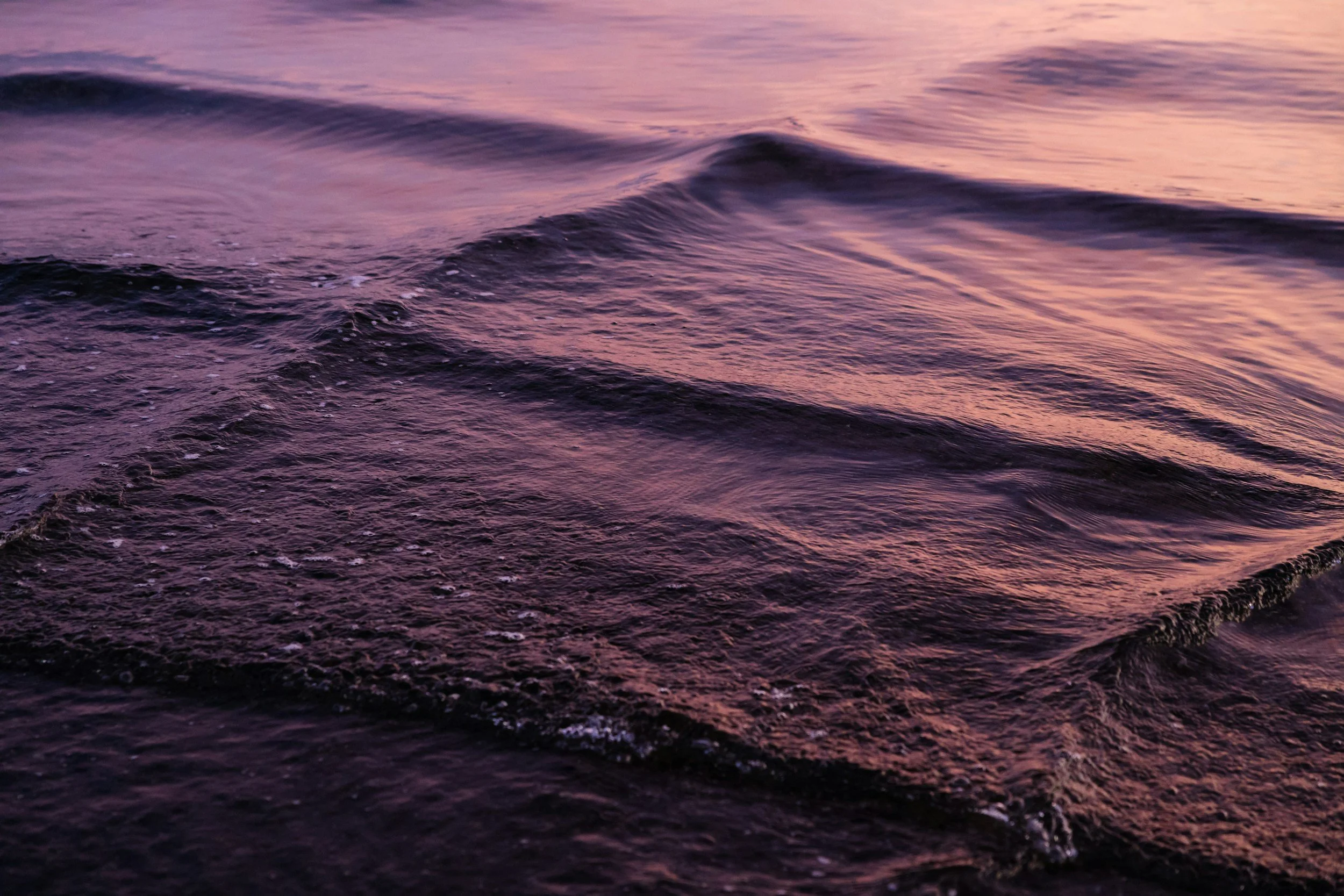 Capital is Energy | Part Three | Heart Coherence as Source of Abundance