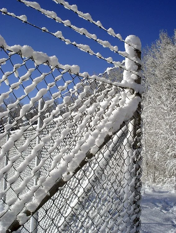 Snow on chainlink fence_w.jpg