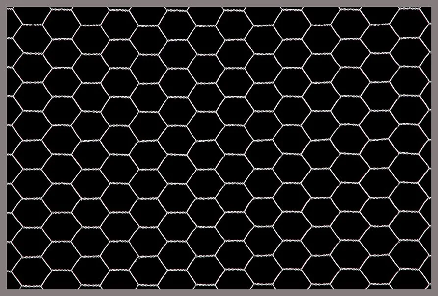 19mm Hex Netting_w.jpg