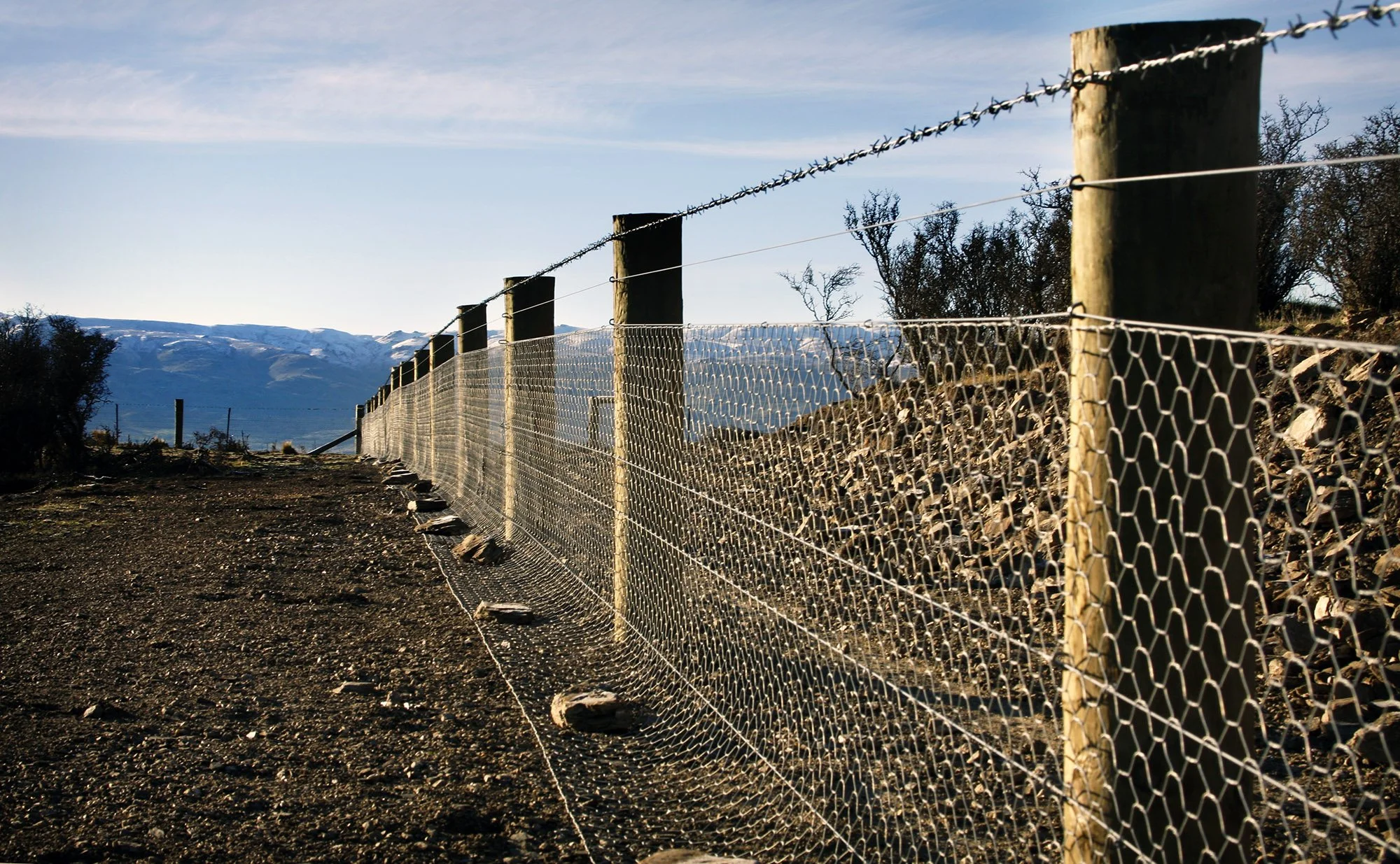 _MG_7743 Banner_w.jpg