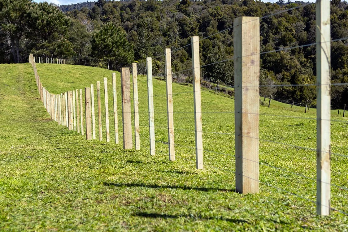 Fence landscape_w..jpg