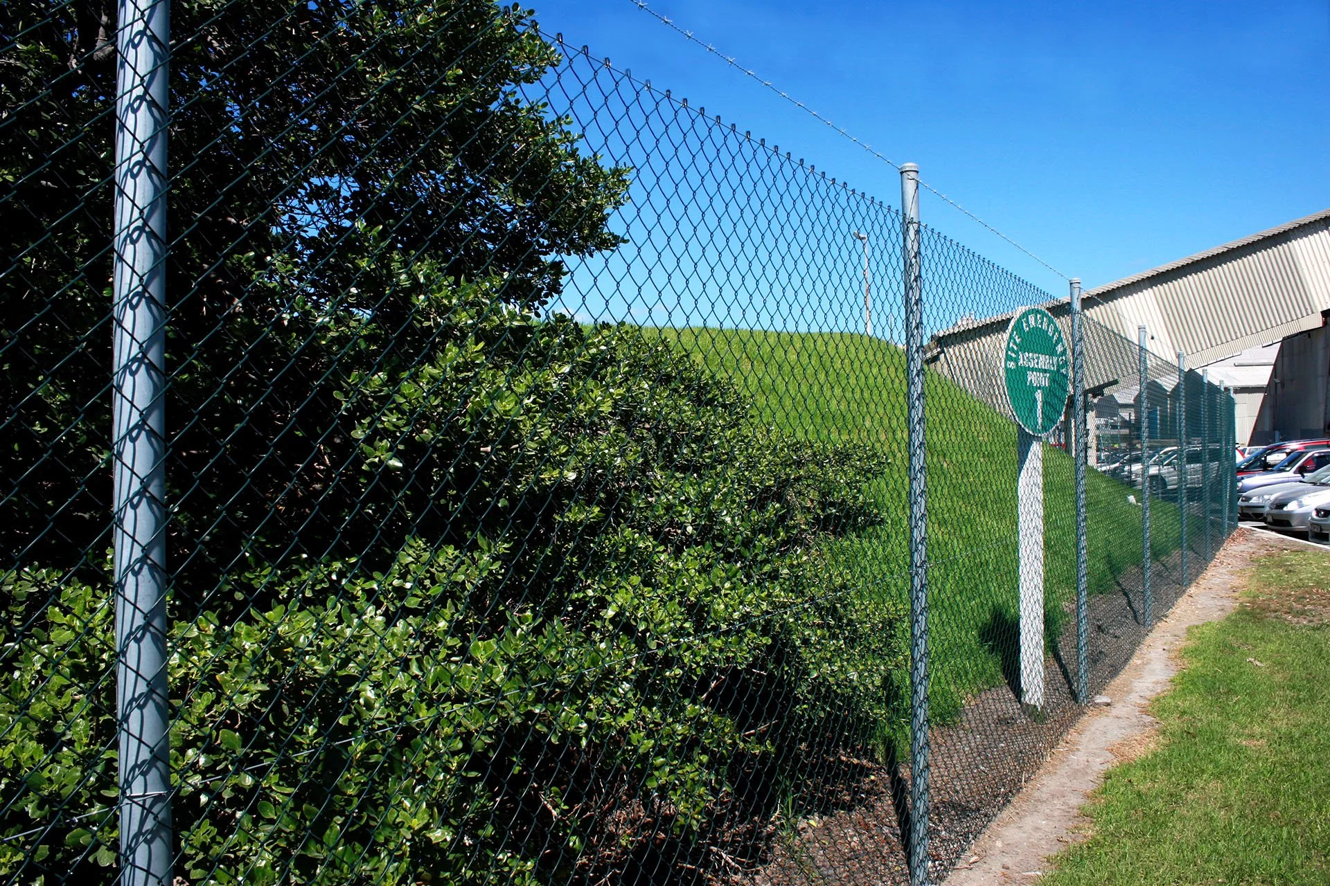 IMG_5785 Banner_w.jpg