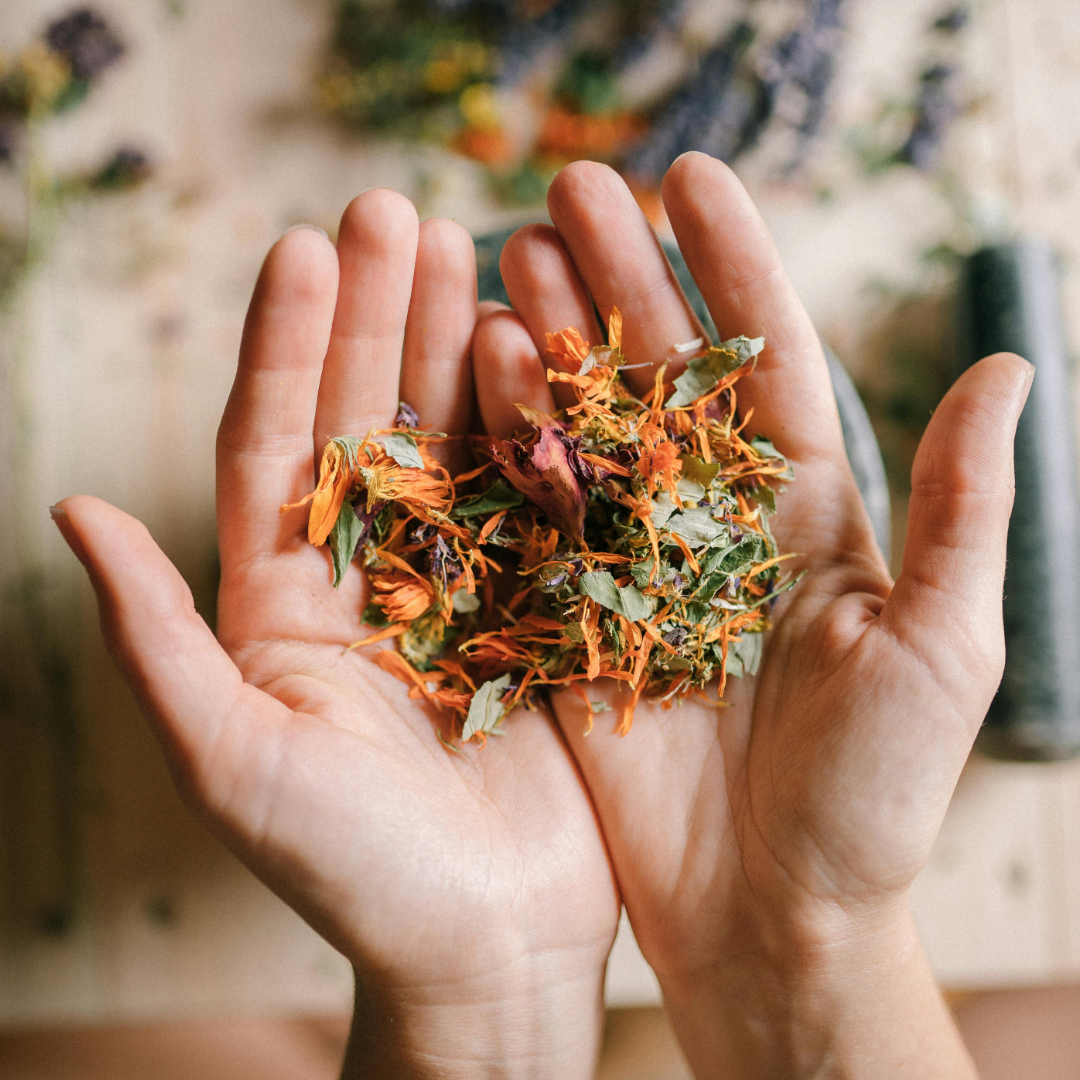 Hands holding a blend of dried herbs and flowers for herbal wellness.