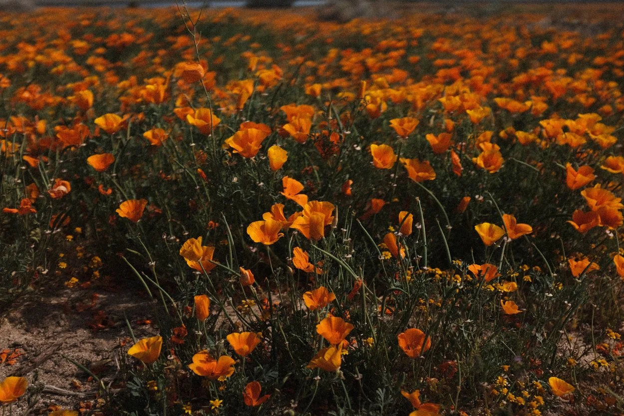 Some Signs Relationship OCD Might Be Showing Up and What to Do About It