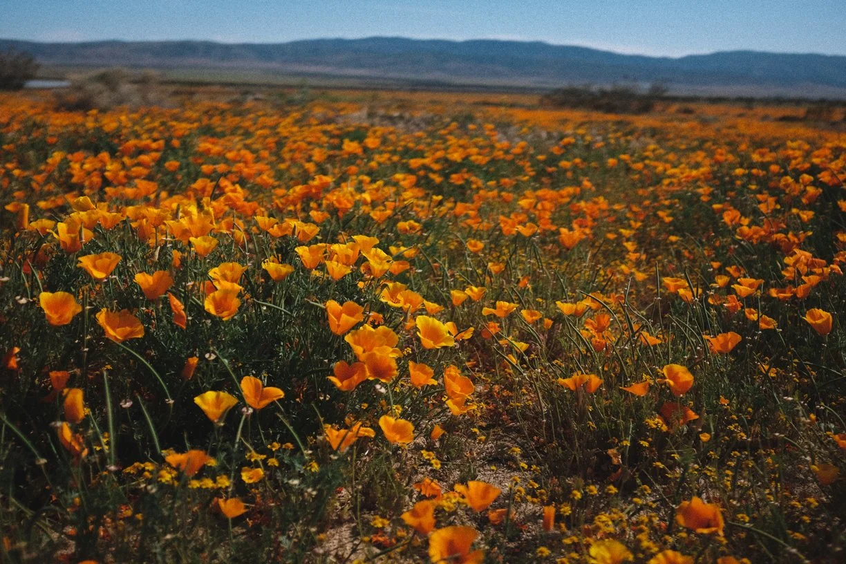 What is EMDR and How Might it Help Me? 
