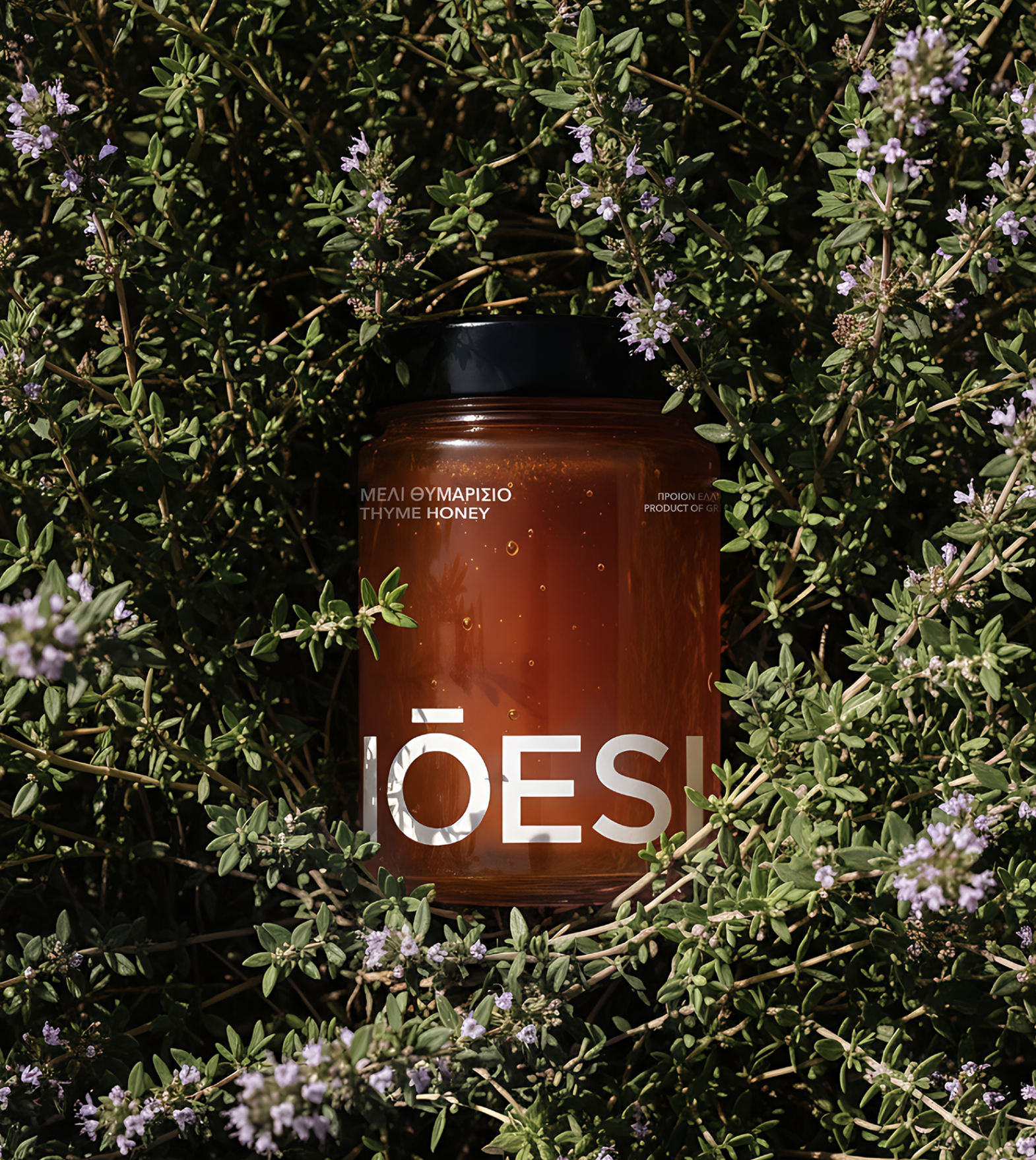 NOESIS HONEY BRAND