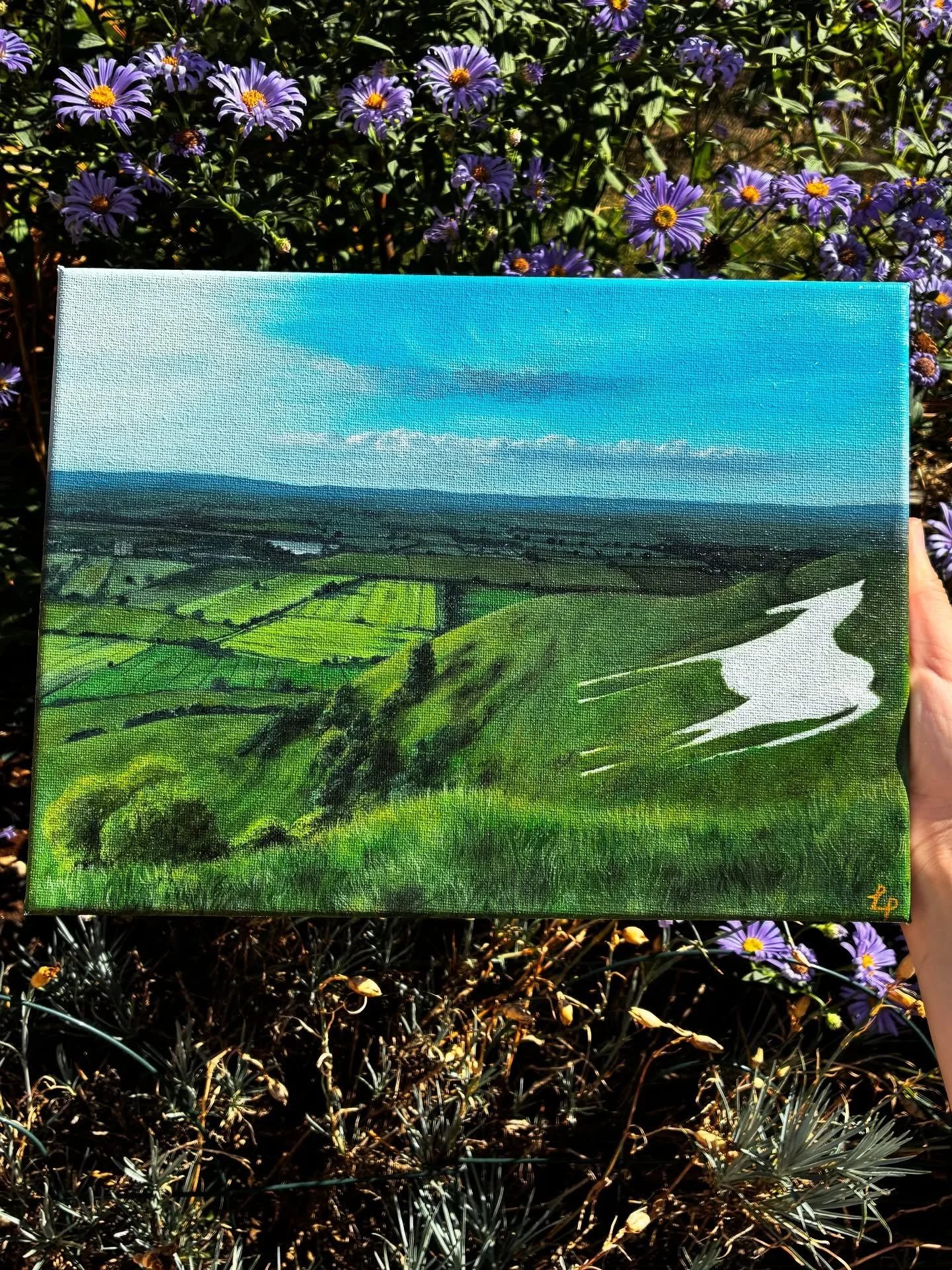 Finally got around to painting Westbury, and the best of the White Horses! 

Original and prints now available on my website lilypardoeart.co.uk 🐎

#wiltshire #westbury #westburywhitehorse #acrylicartist #artist #smallbusiness