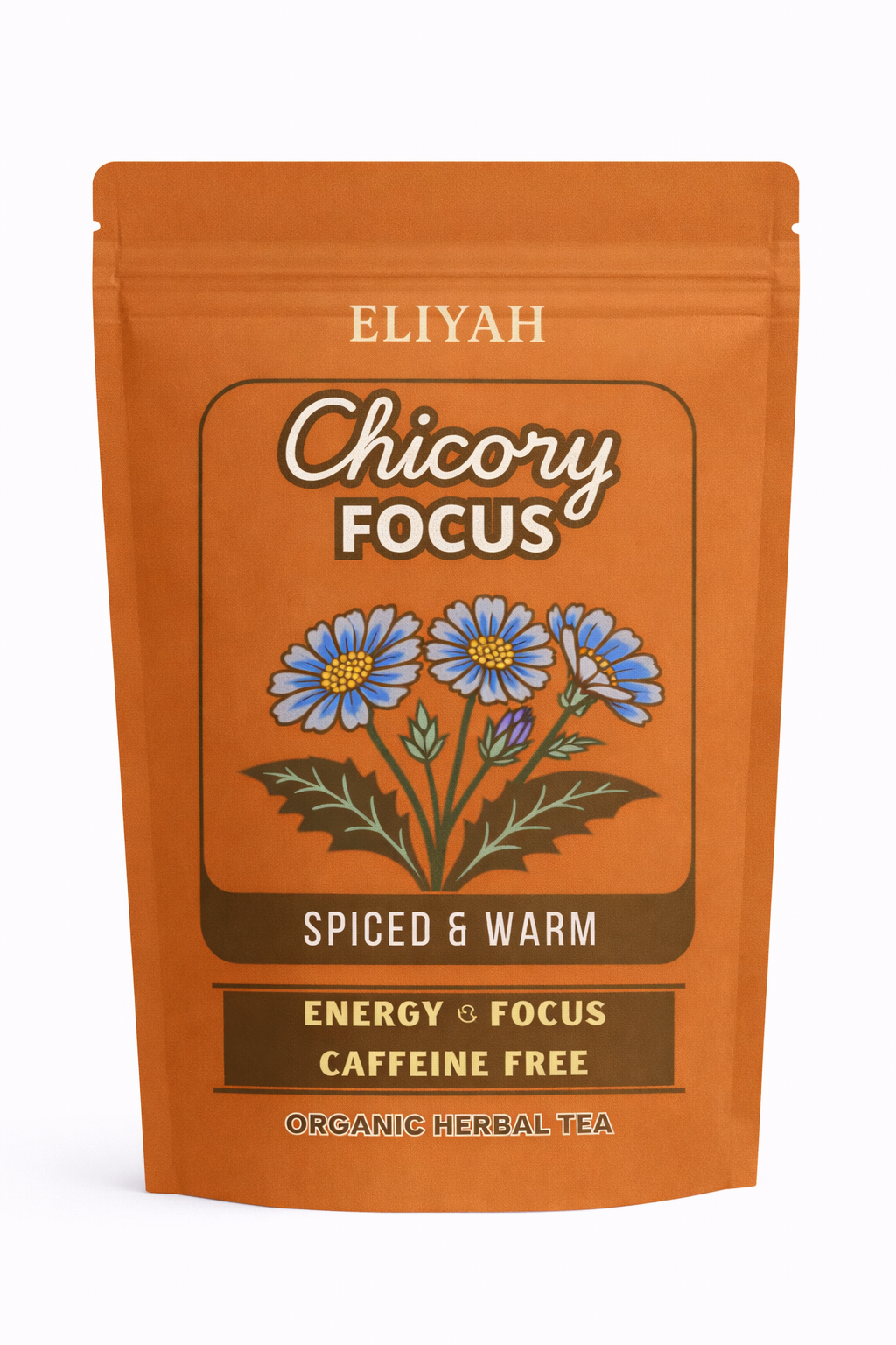 Chicory Focus