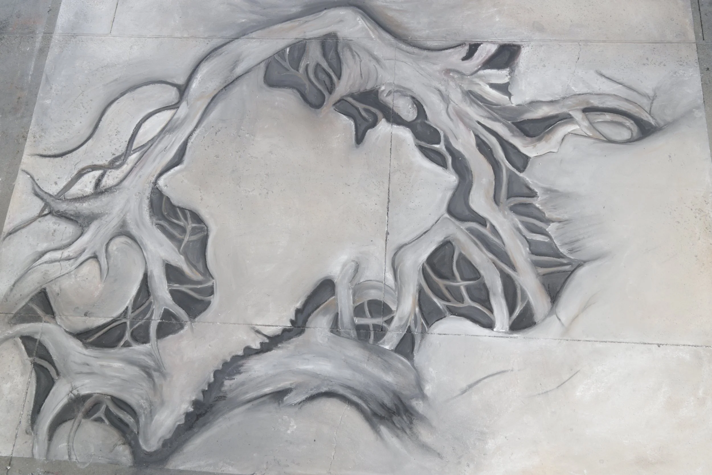 CARMENATE, GIANNA - PHOTO BY BRIAN BIERY