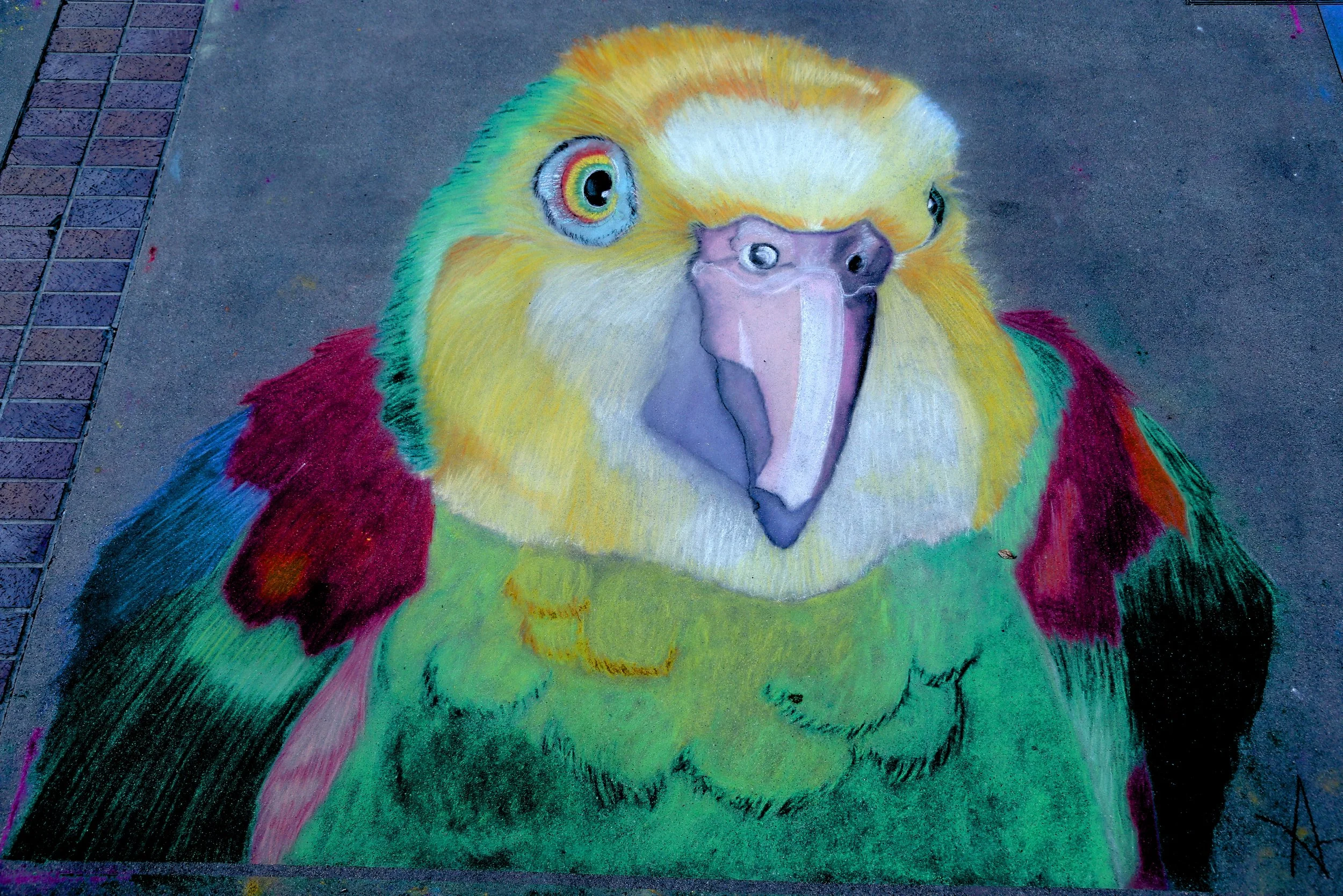 CASAS, AMANDA - BEST USE OF COLOR - PHOTO BY BRIAN BIERY