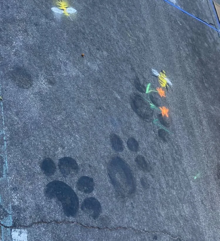 RAPEPORT, STUART - PHOTO BY PATRICIA HURLEY