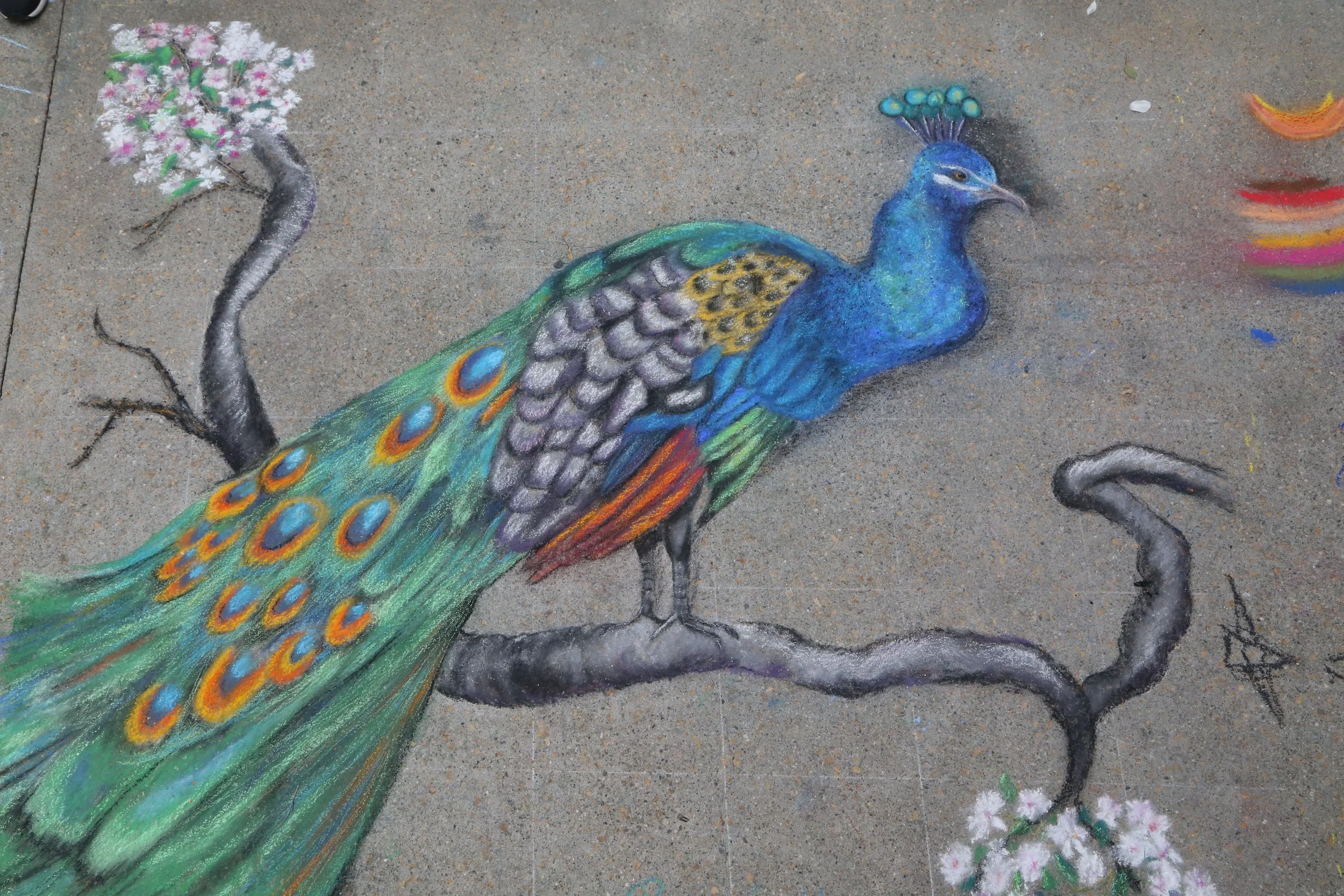 KEADY, RENEE - PHOTO BY BRIAN BIERY