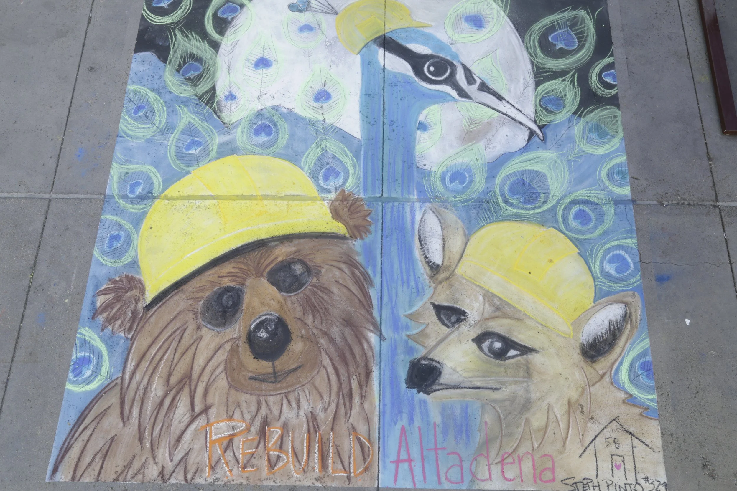 PINTO, STEPHANIE - PHOTO BY BRIAN BIERY