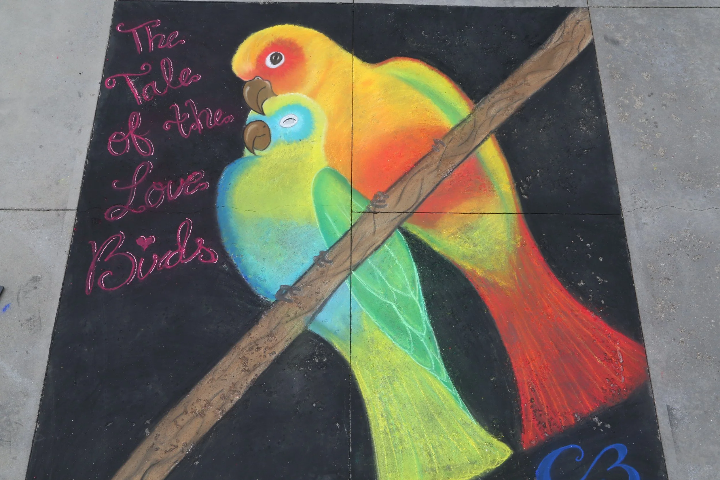 BARBOSA, CLAUDIA - PHOTO BY BRIAN BIERY