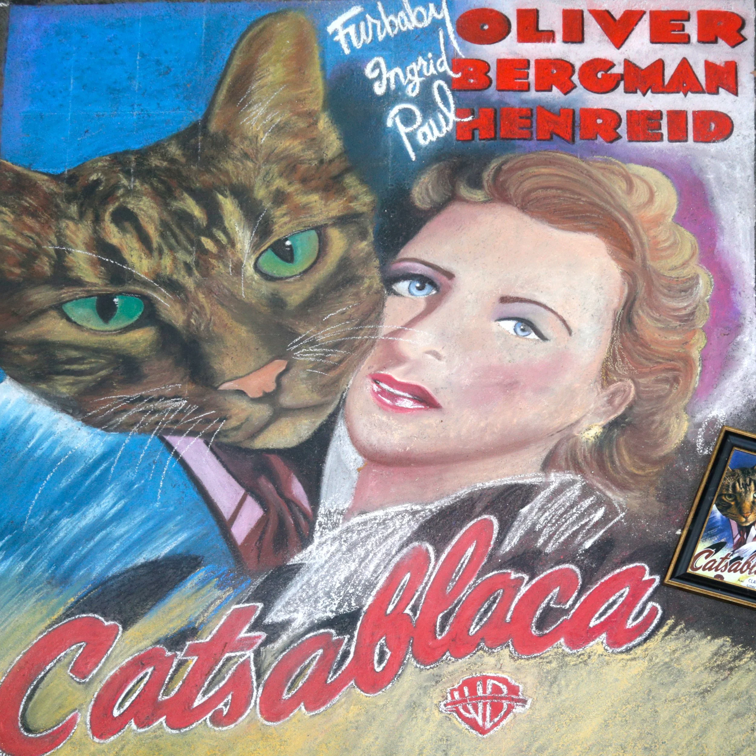 CLEVELAND, ALEXANDRA - MOST HUMOROUS - "CATSABLANCA" - PHOTO BY BRIAN BIERY
