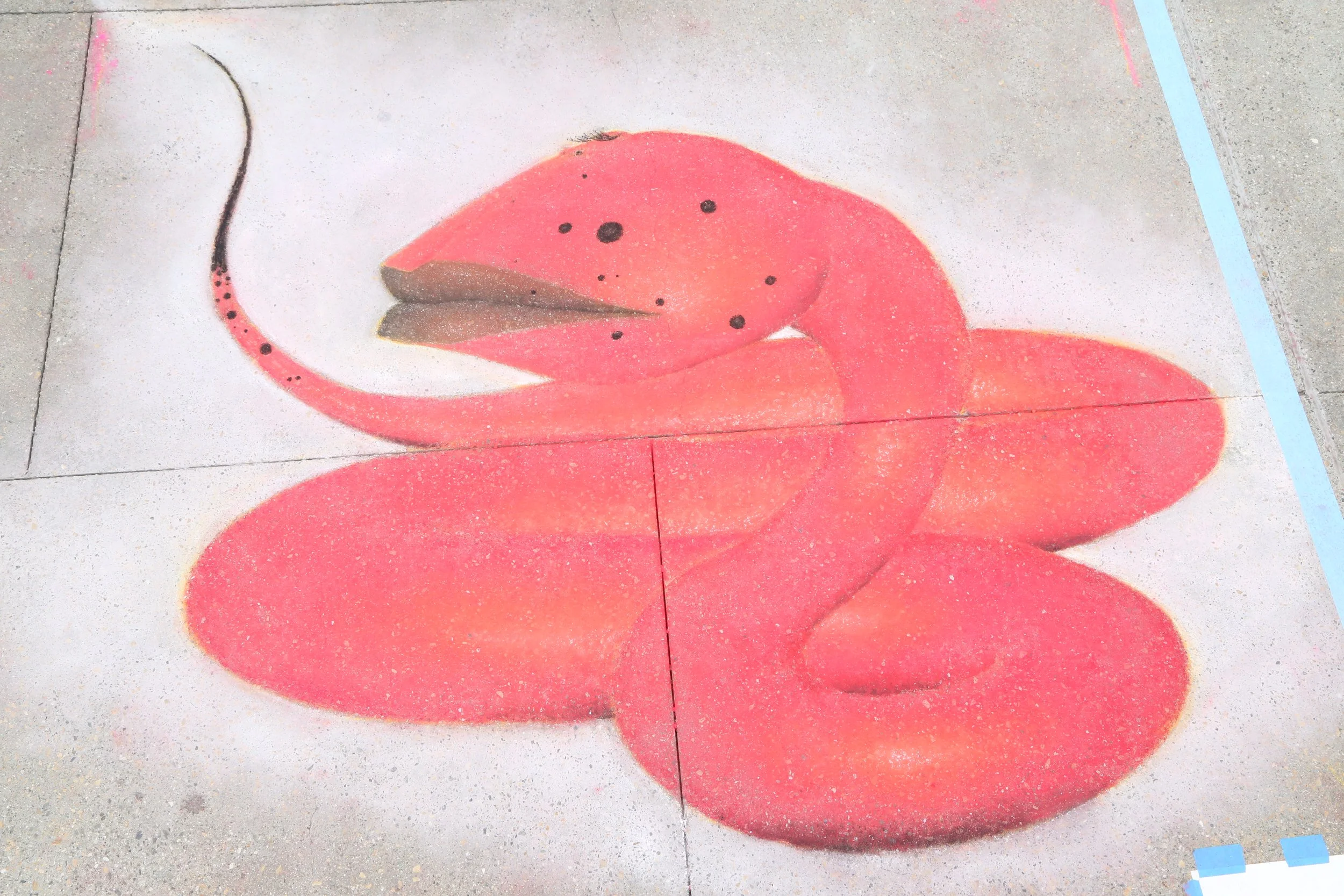 JOHNSON, DARIN K. - PHOTO BY BRIAN BIERY