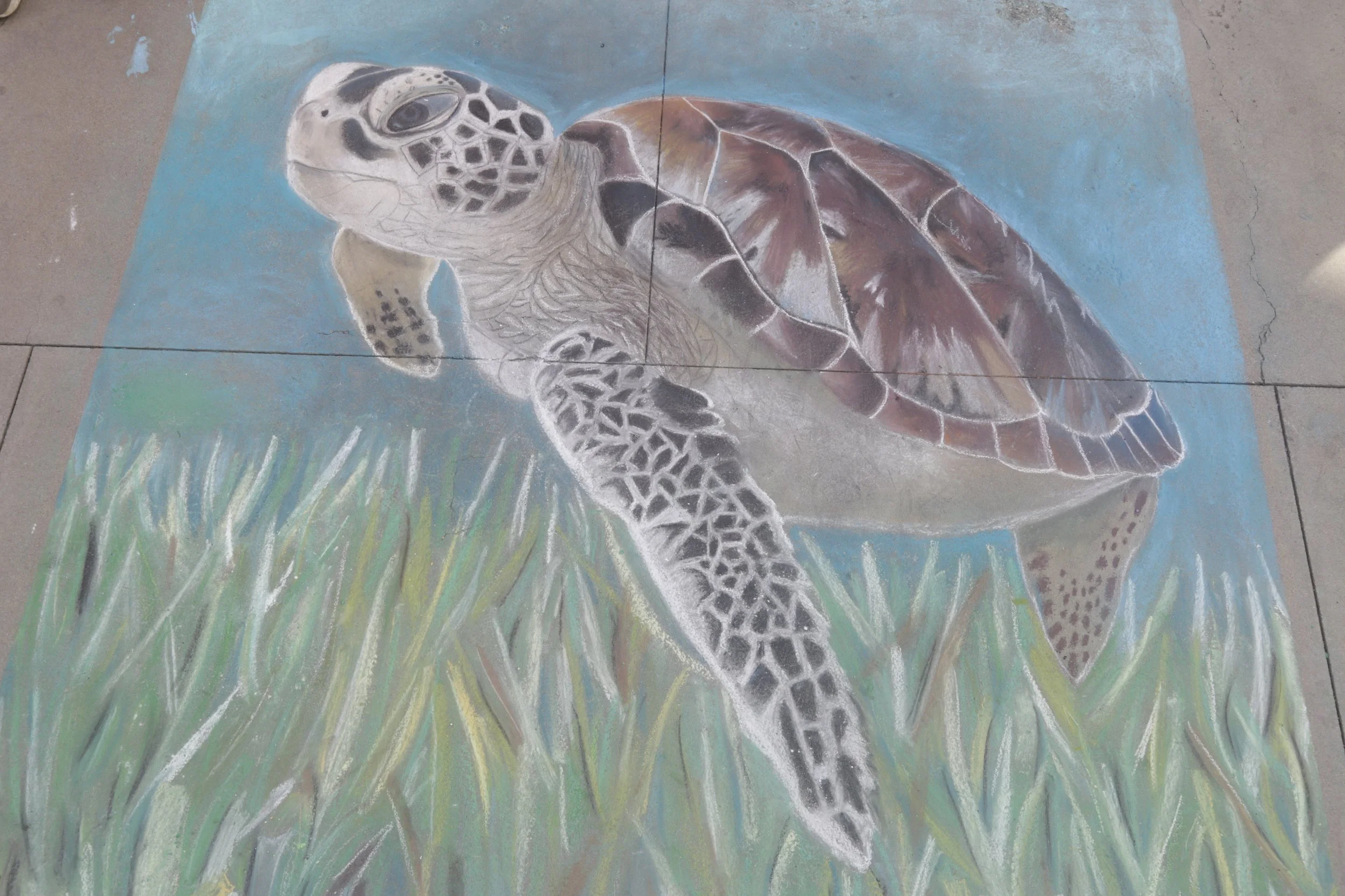 YOO, ZOE - PHOTO BY BRIAN BIERY