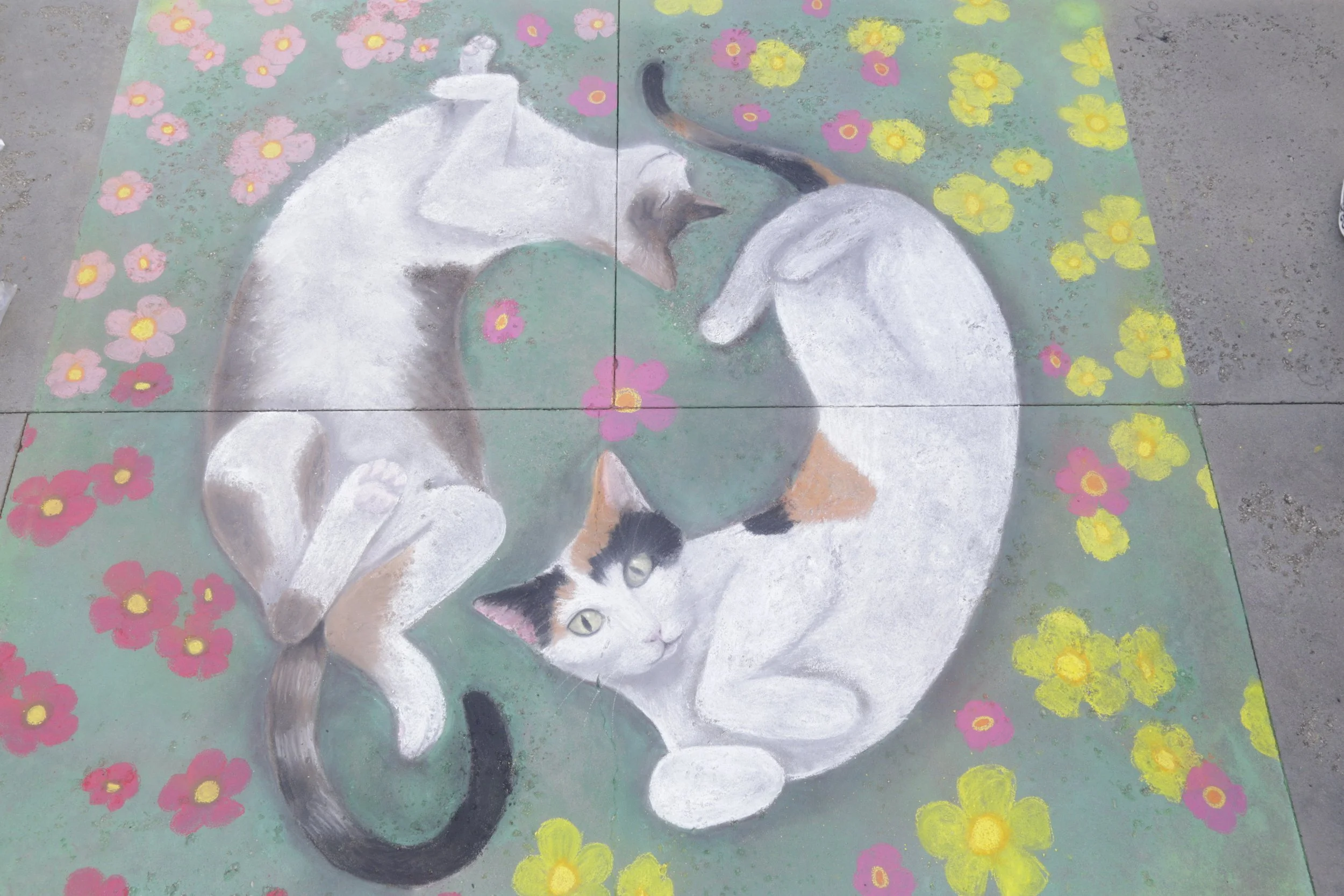 PLANNER, ALEXIS - PHOTO BY BRIAN BIERY