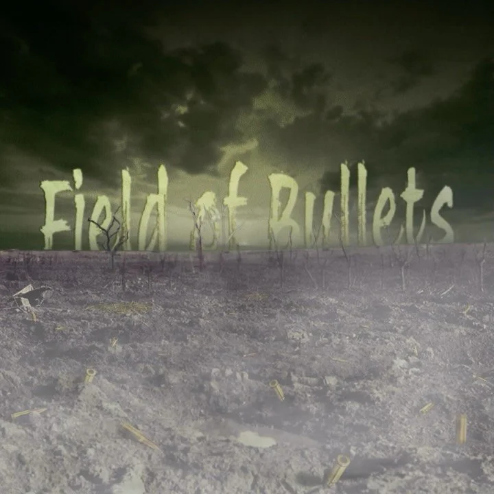 Field of Bullets is out now on all platforms