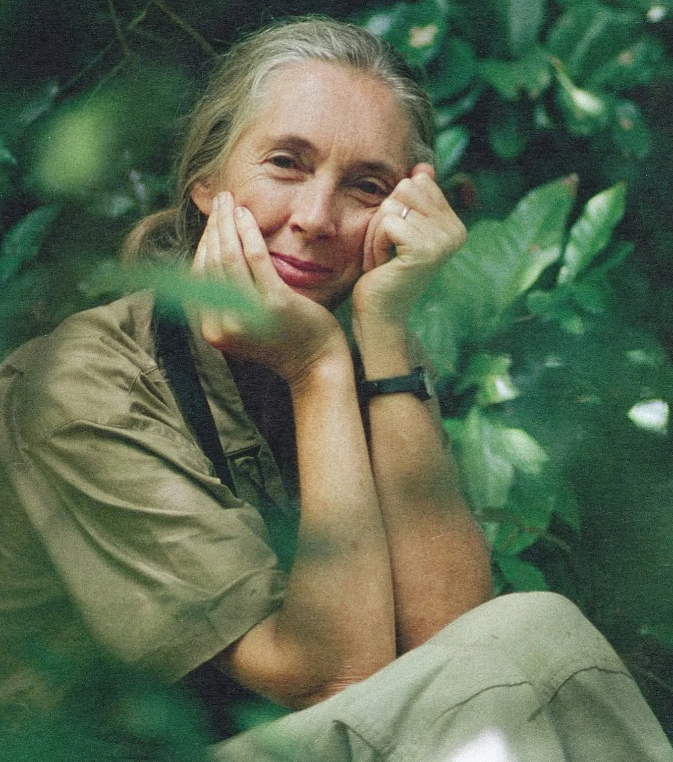 Thank you for being a hero worth having 🤍#JaneGoodall @janegoodallinst