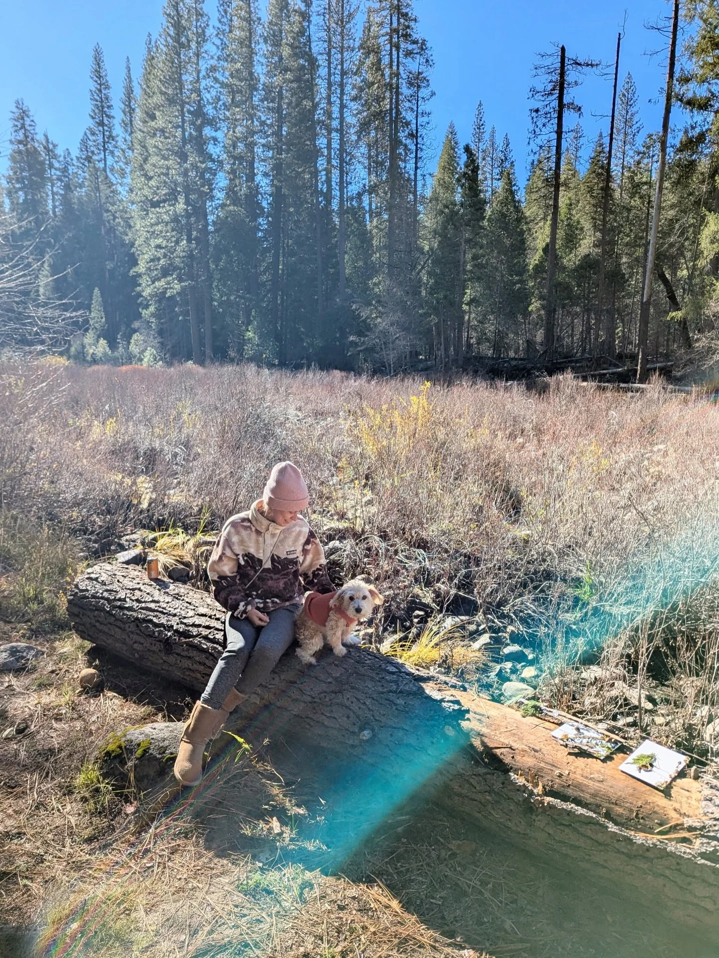 Grateful for this little life of mine 🌲

The traditions are building: 3️⃣Our third year (legally) foraging for our Christmas tree in a national forest, 2️⃣our second year camping at Yosemite on Thanksgiving and, this year, 1️⃣Brody joined for his fi