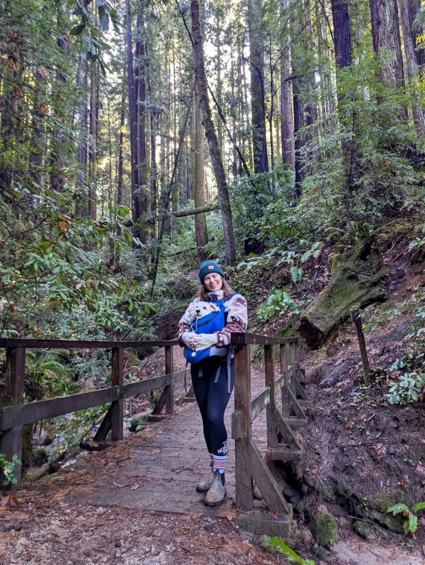 Scenes from a restful reset ☁️