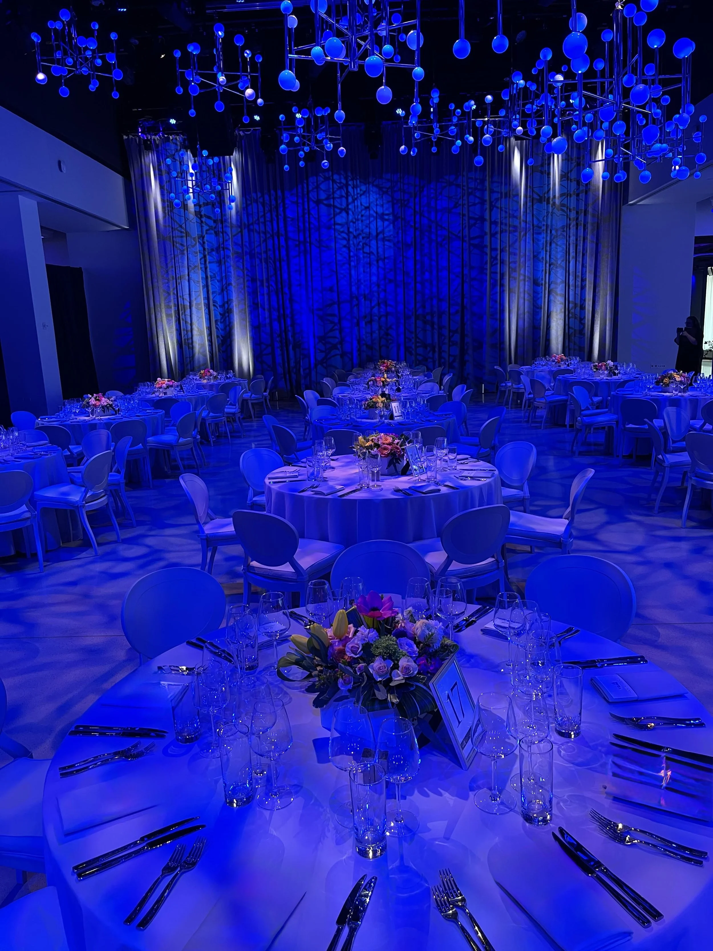 Blue gala.jpg