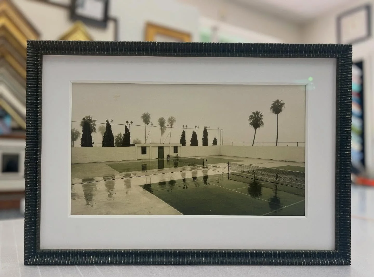 We&rsquo;ve made it through May gray! This @fotiouframes Sorrento frame works perfectly with these dreary palms!