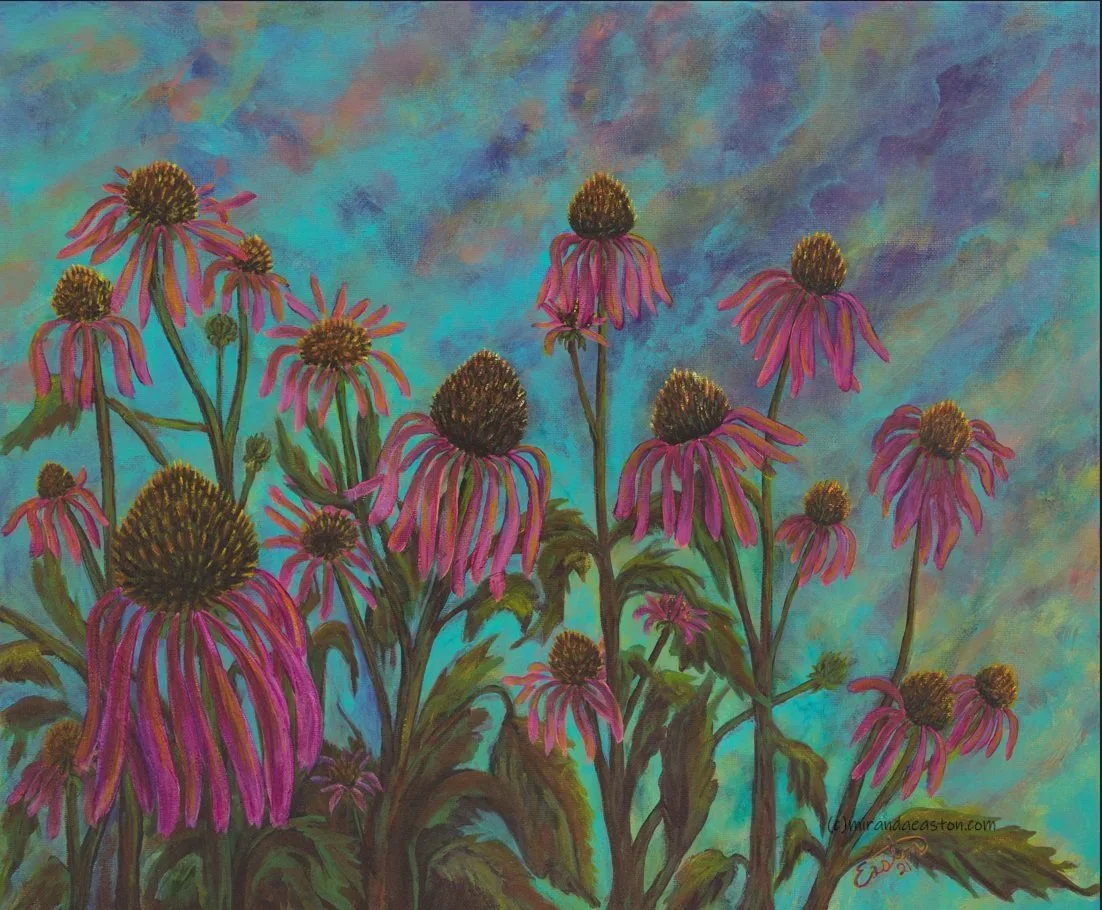 Echinacea

Acrylic on canvas framed, 16 x 20 — $640
Available-TopekaArtGuild.org