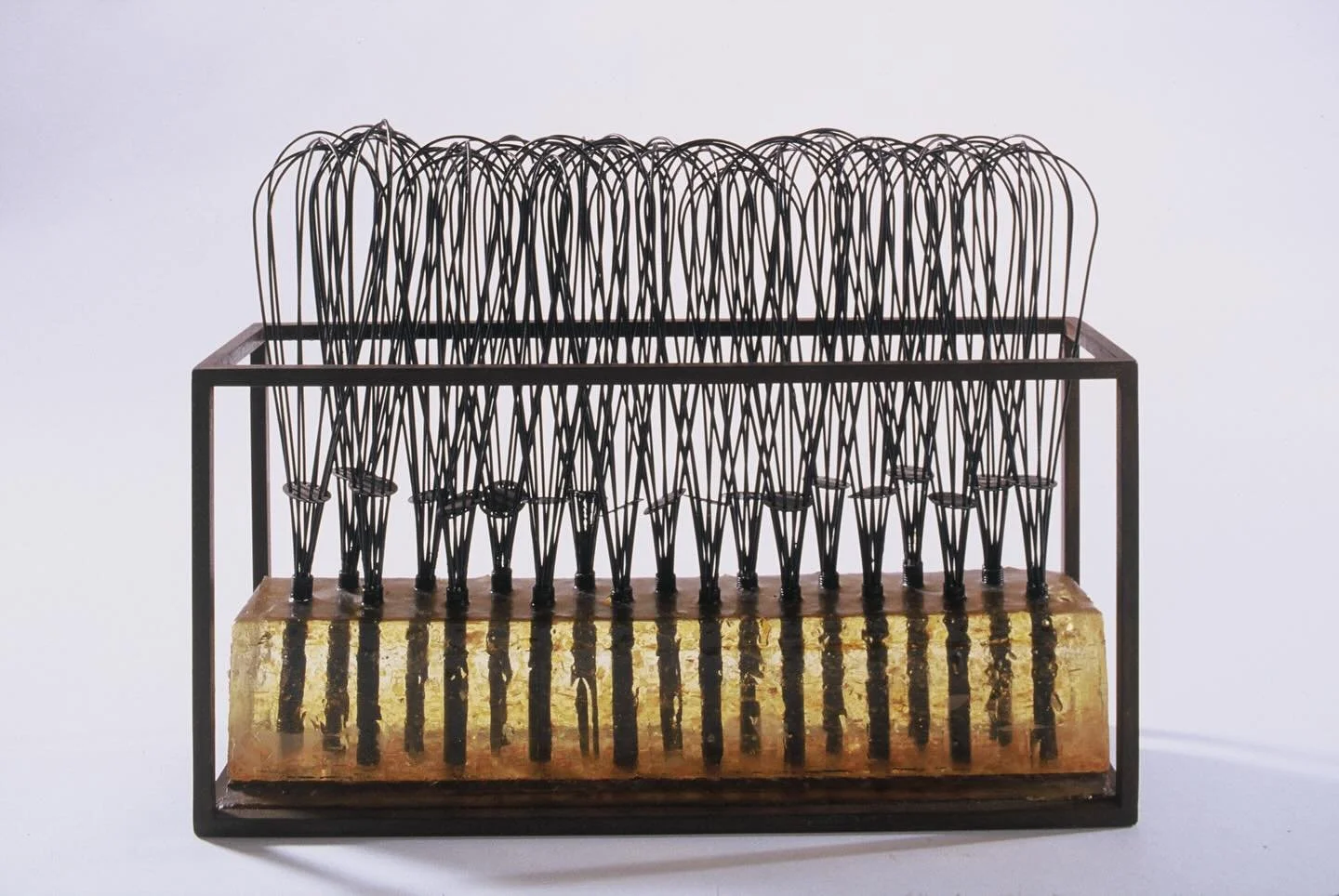 El Bosc a Casa / The Forest in the House #ElisaArimany