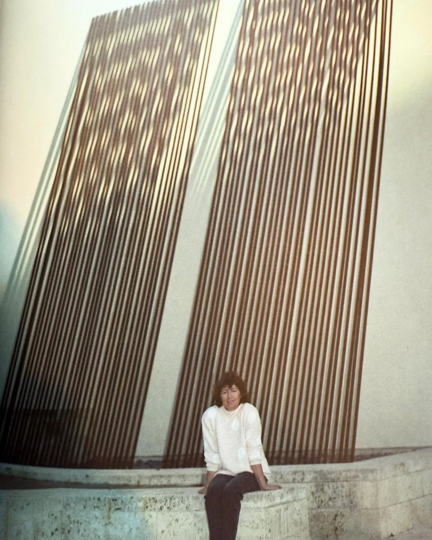 Venetian Blind, 1990 
Weathering steel 
700x650x400 cm 

PAMM P&eacute;rez Art Museum (previously Center for the Finale Arts) Miami, Florida 1999

#ElisaArimany