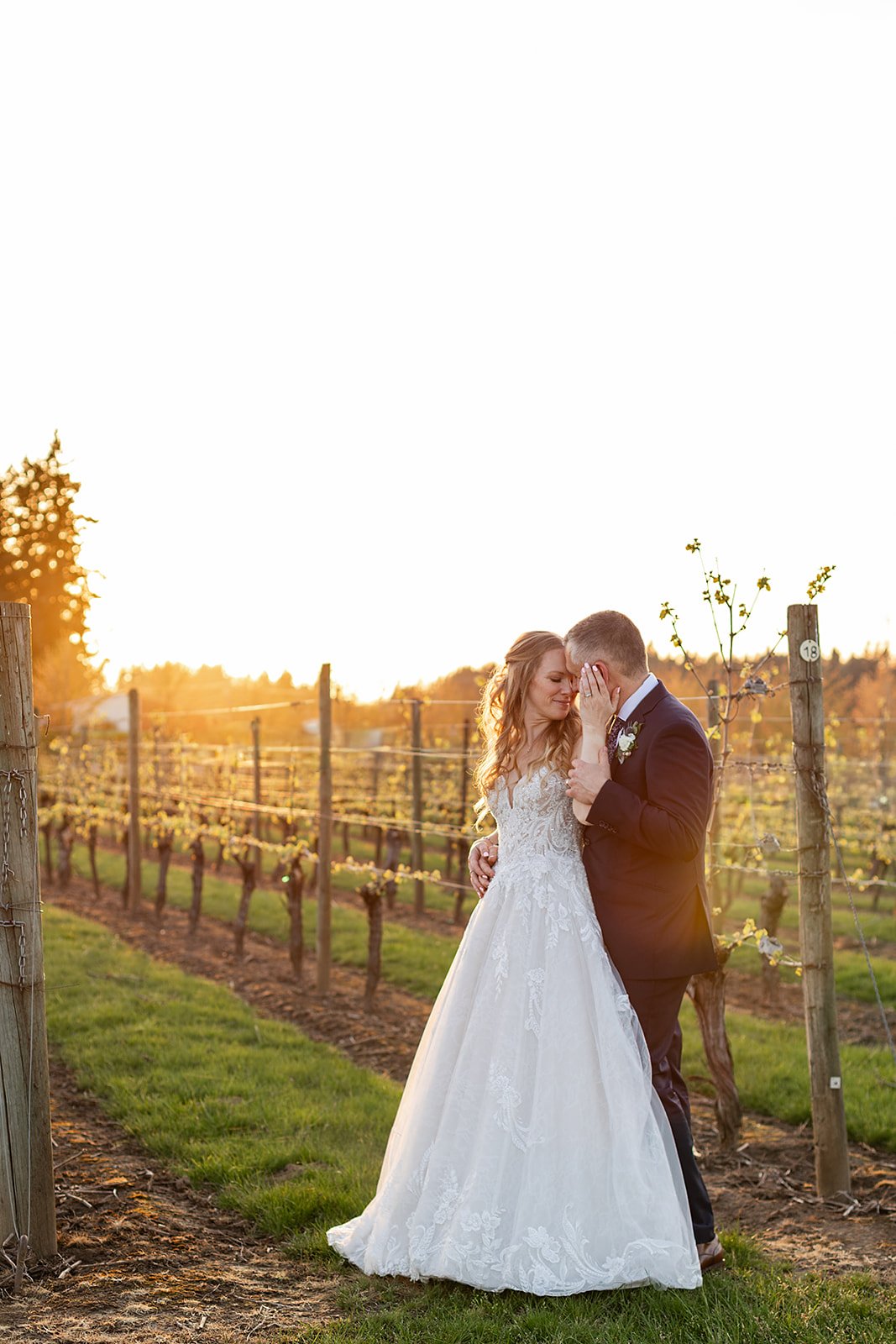 A bride and groom standing in a vineyard at sunset, embracing each other lovingly, with the bride touching the groom's face.