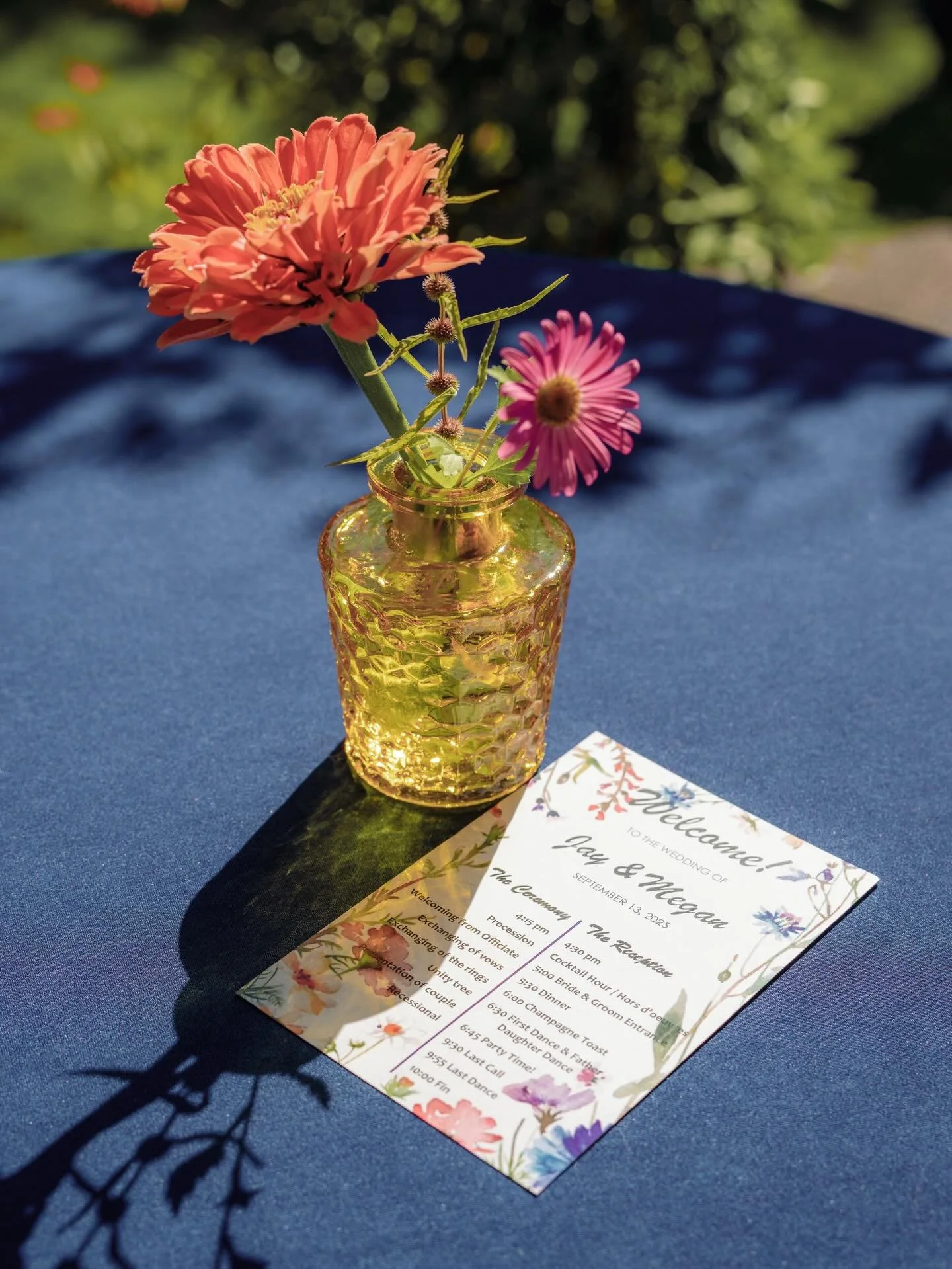 Backyard bliss! 
This wedding was a dream come true for this couple, who had been wanting a backyard celebration for years. Once they remodeled their home, that dream was turned into reality 💖
&bull;
Photographer @asherrainphotography @asherrainwedd
