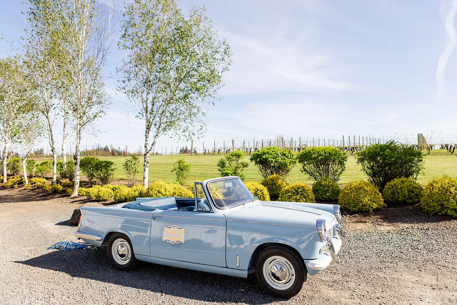 A light blue vintage convertible car with a sign on the door that says "Just Married" parked on a gravel area with green bushes, trees, and a vineyard in the background under a partly cloudy sky.