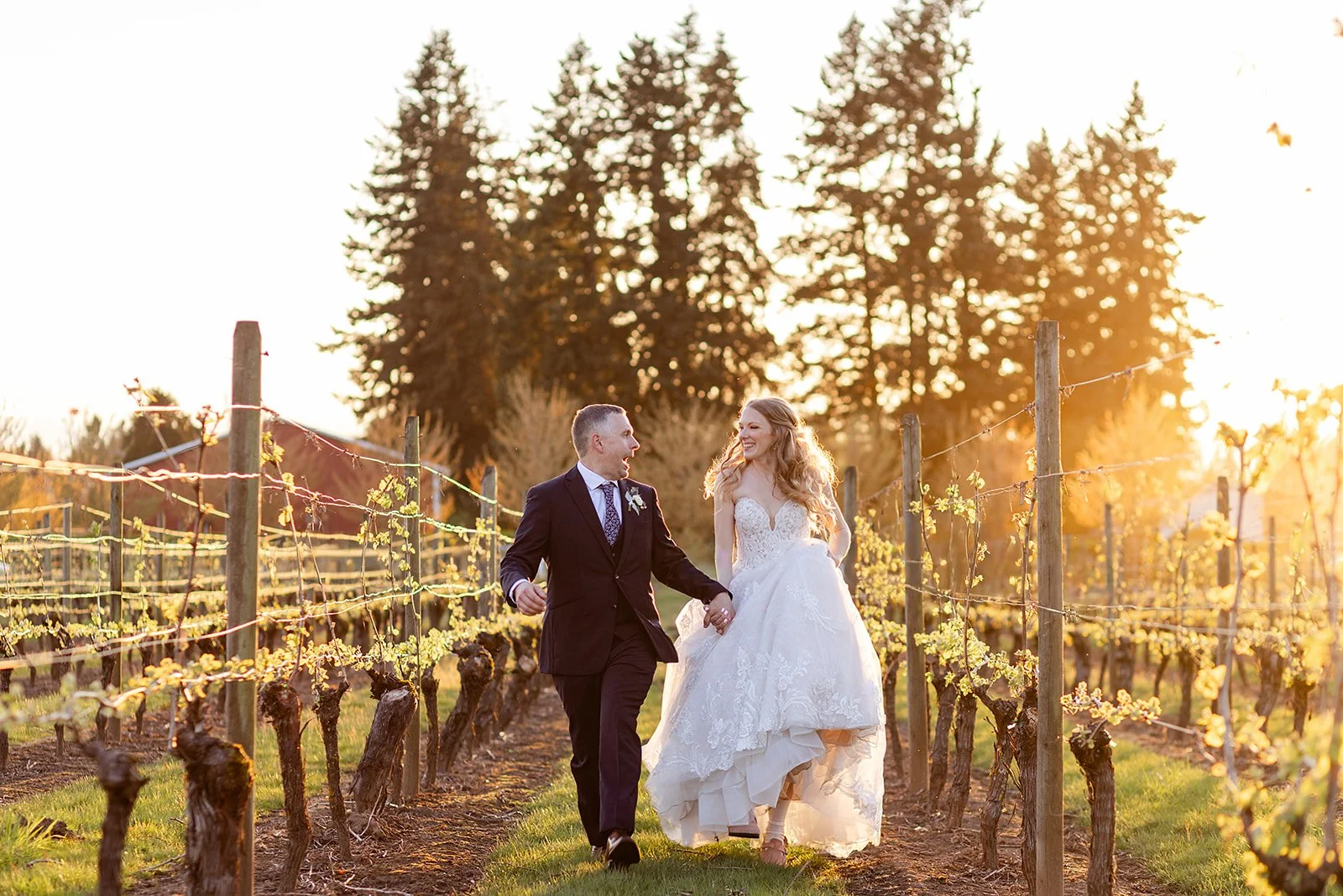 A newlywed couple walking hand in hand through a vineyard during sunset, smiling at each other. The bride is in a white wedding gown with a lace bodice, and the groom is in a dark suit with a tie. The vineyard rows are lined with grapevines and the b
