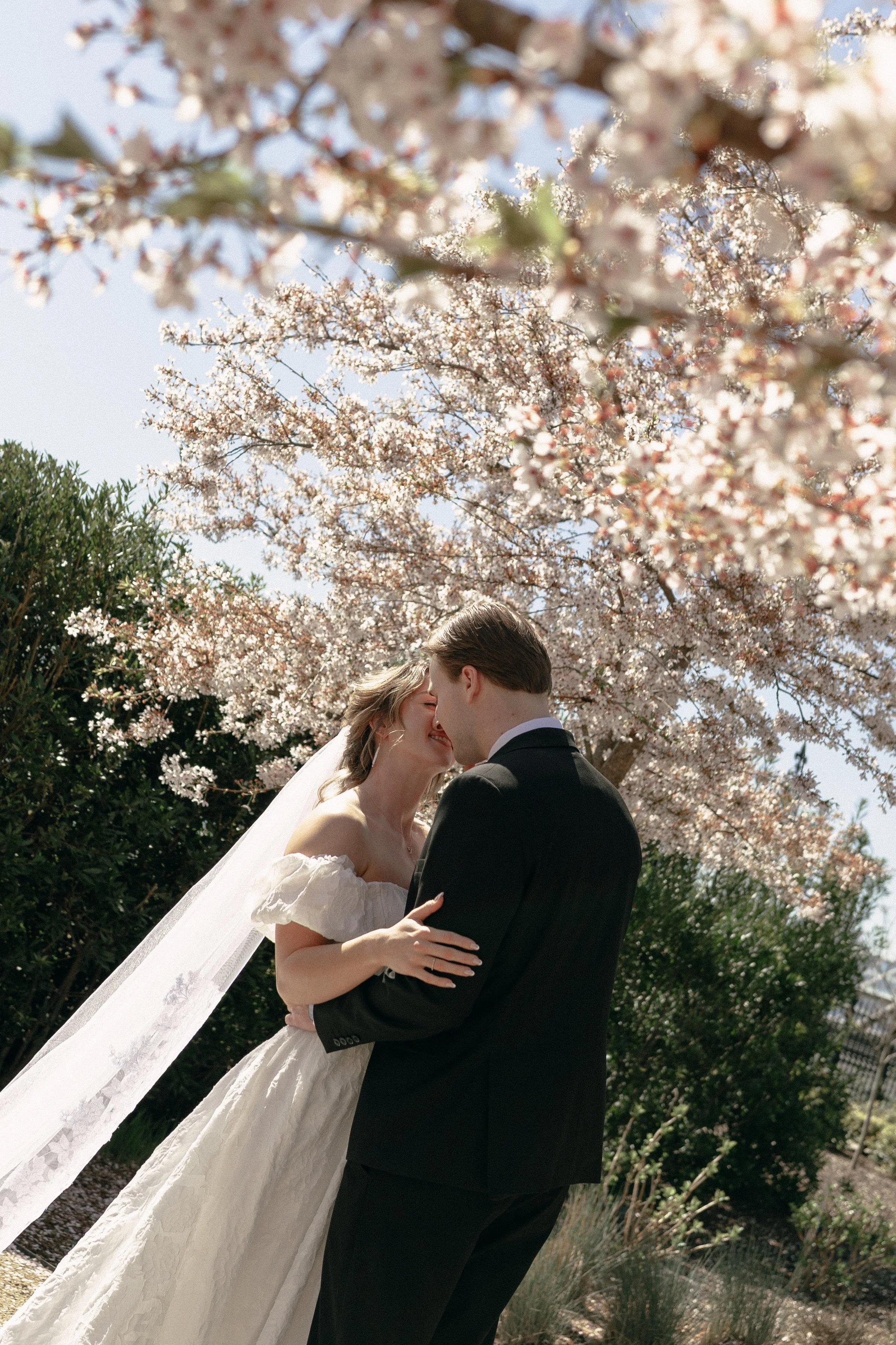 A bride and groom in wedding attire sharing a kiss under blooming cherry blossom trees, with sunlight filtering through the branches.
