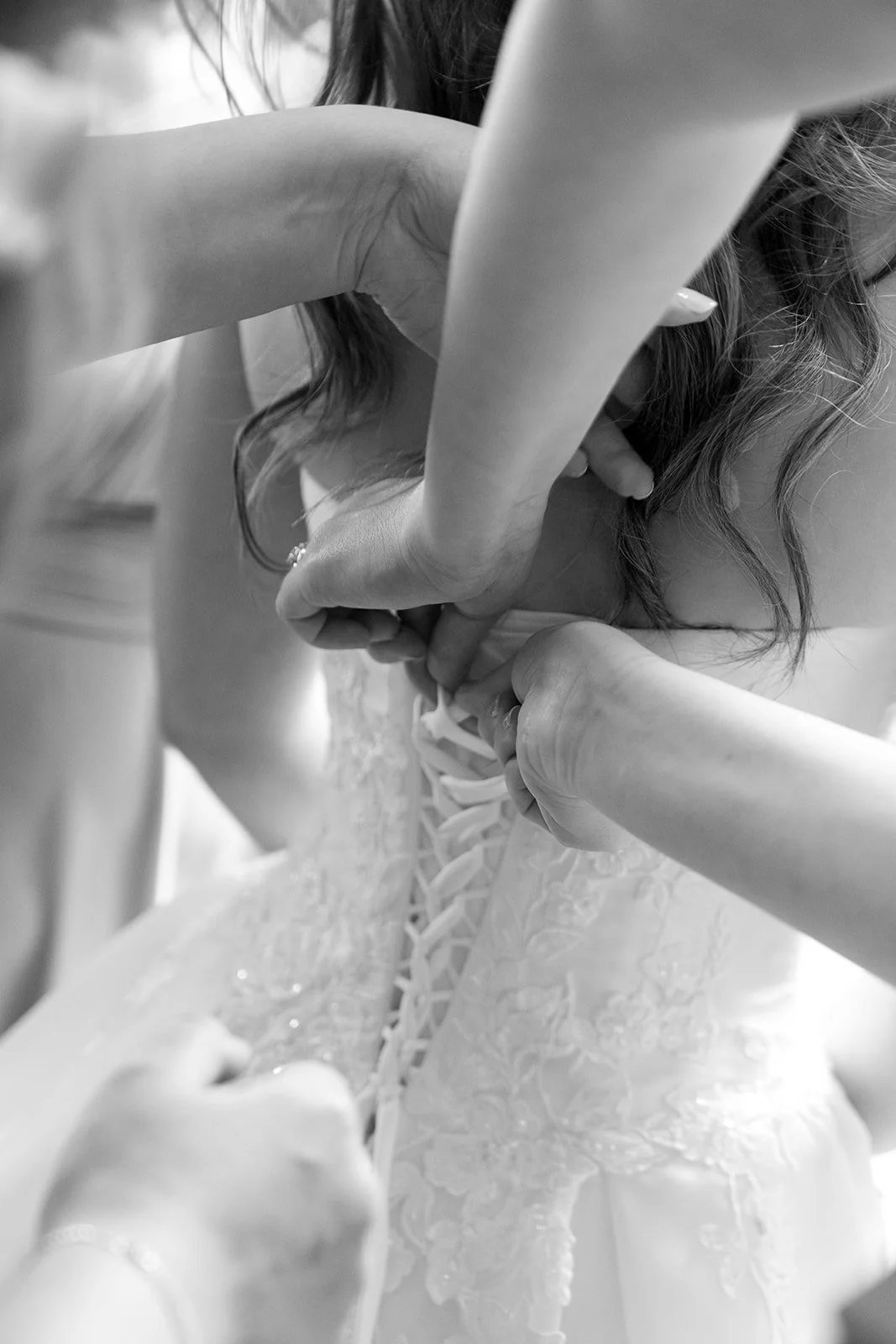 Close-up of a bride with lace dress being assisted with her wedding gown by multiple people, black and white photo.