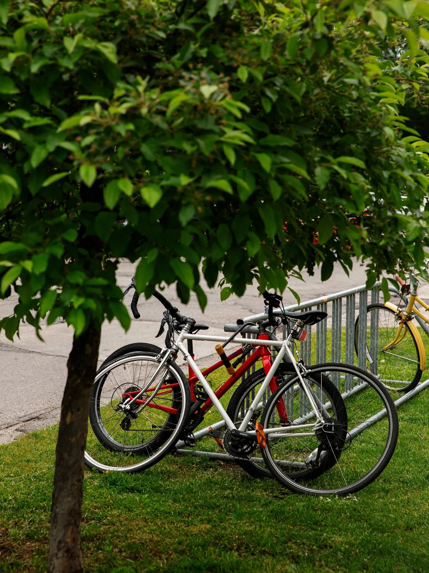 Pedal in or walk to the Fleet today to get a $1 off your first beverage! 

Bar opens at 3 &mdash; No Crocodile Palace today