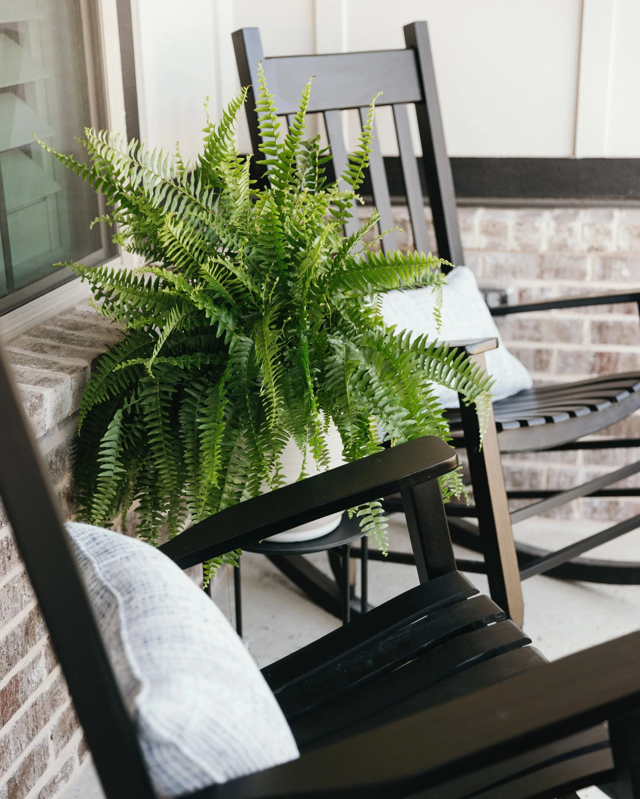 Welcoming front porch with black rockers, lush fern modern curb appeal by Merriment by Design