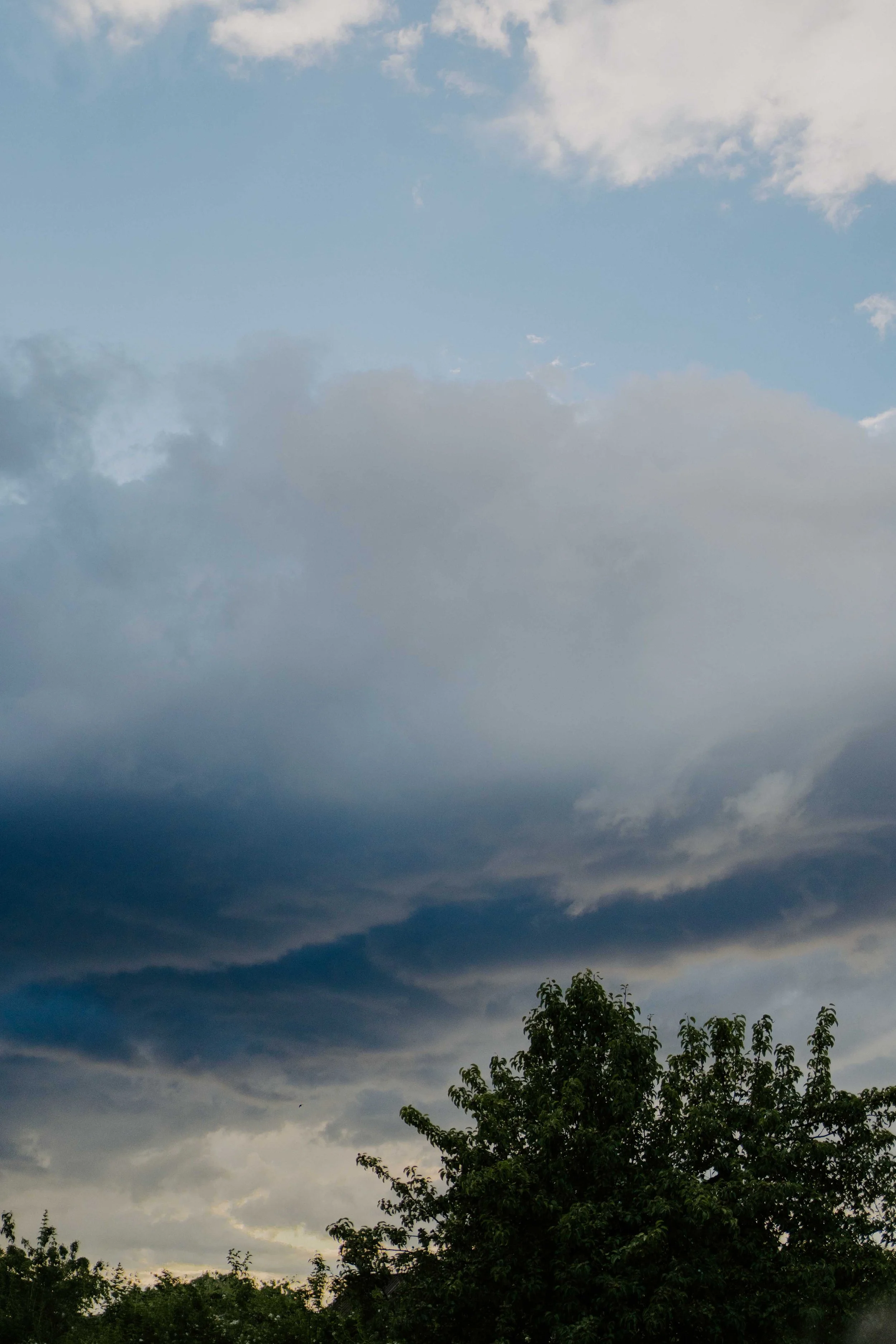 AnnikaJurgis x 7Ballite 230.jpg