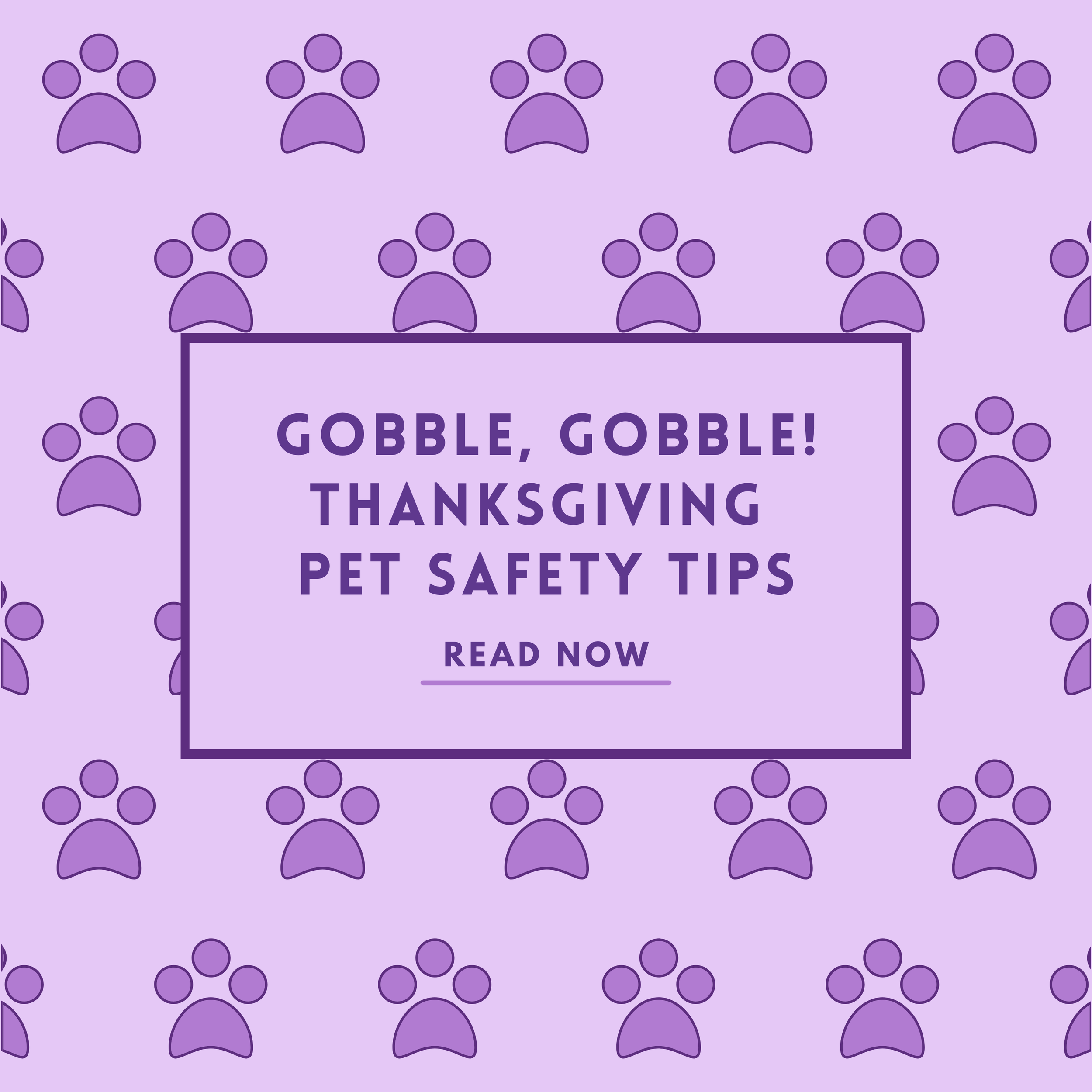 Thanksgiving Pet Safety Tips