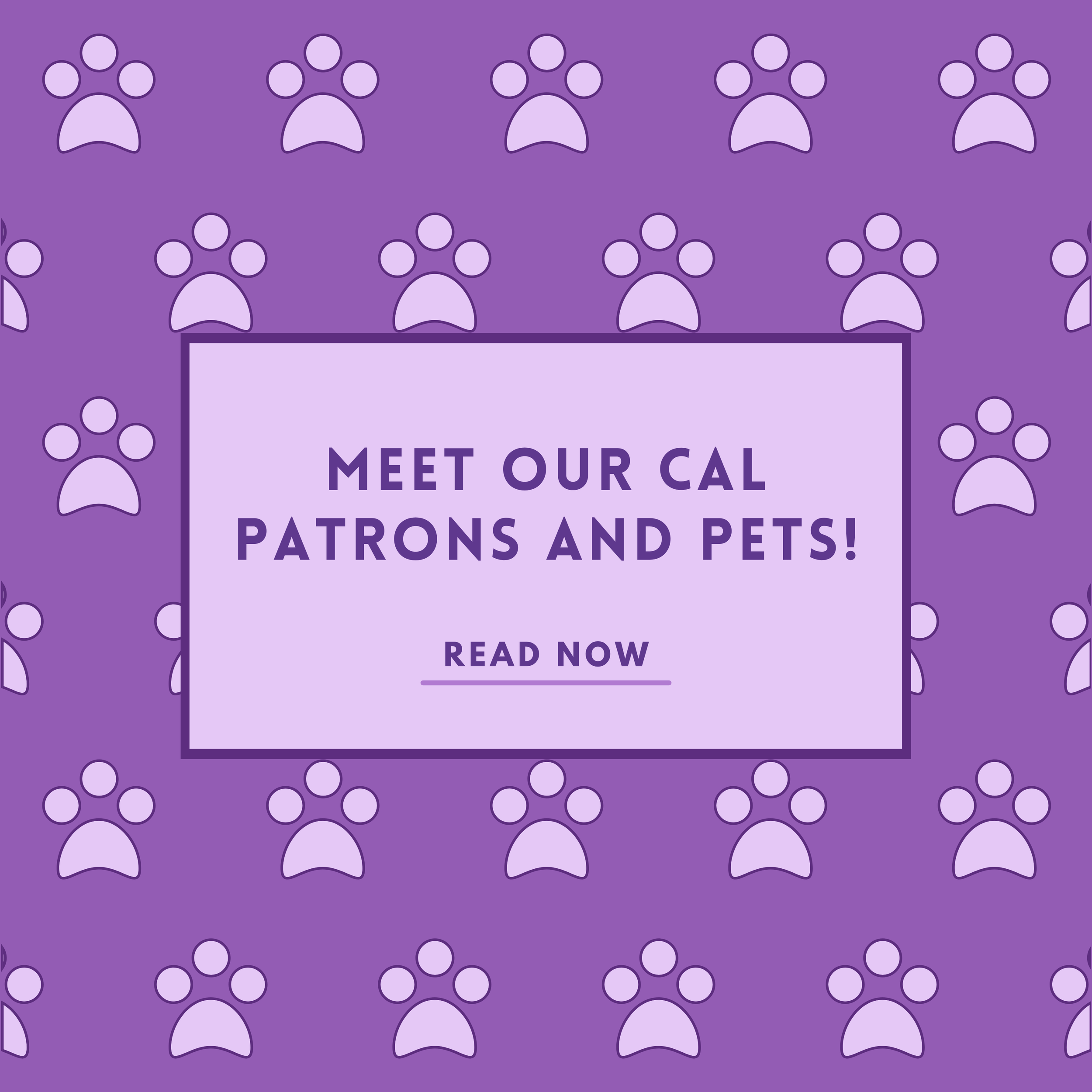 Meet Our CAL Patrons And Pets!